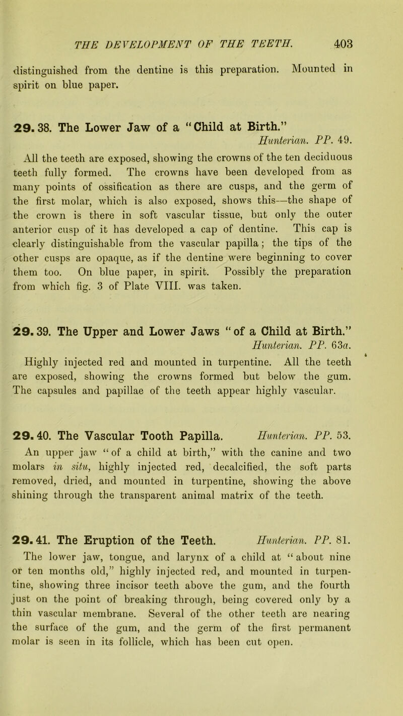 distinguished from the dentine is this preparation. Mounted in spirit on blue paper. 29.38. The Lower Jaw of a “ Child at Birth.” Hunterian. PP. 49. All the teeth are exposed, showing the crowns of the ten deciduous teeth fully formed. The crowns have been developed from as many points of ossification as there are cusps, and the germ of the first molar, which is also exposed, shows this—the shape of the crown is there in soft vascular tissue, but only the outer anterior cusp of it has developed a cap of dentine. This cap is clearly distinguishable from the vascular papilla; the tips of the other cusps are opaque, as if the dentine were beginning to cover them too. On blue paper, in spirit. Possibly the preparation from which fig. 3 of Plate VIII. was taken. 29.39. The Upper and Lower Jaws “of a Child at Birth.” Hunterian. PP. 63a. Highly injected red and mounted in turpentine. All the teeth are exposed, showing the crowns formed but below the gum. The capsules and papillae of the teeth appear highly vascular. 29.40. The Vascular Tooth Papilla. Hunterian. PP. 53. An upper jaw “ of a child at birth,” with the canine and two molars in situ, highly injected red, decalcified, the soft parts removed, dried, and mounted in turpentine, showing the above shining through the transparent animal matrix of the teeth. 29. 41. The Eruption of the Teeth. Hunterian. PP. 81. The lower jaw, tongue, and larynx of a child at “ about nine or ten months old,” highly injected red, and mounted in turpen- tine, showing three incisor teeth above the gum, and the fourth just on the point of breaking through, being covered only by a thin vascular membrane. Several of the other teeth are nearing the surface of the gum, and the germ of the first permanent molar is seen in its follicle, which has been cut open.