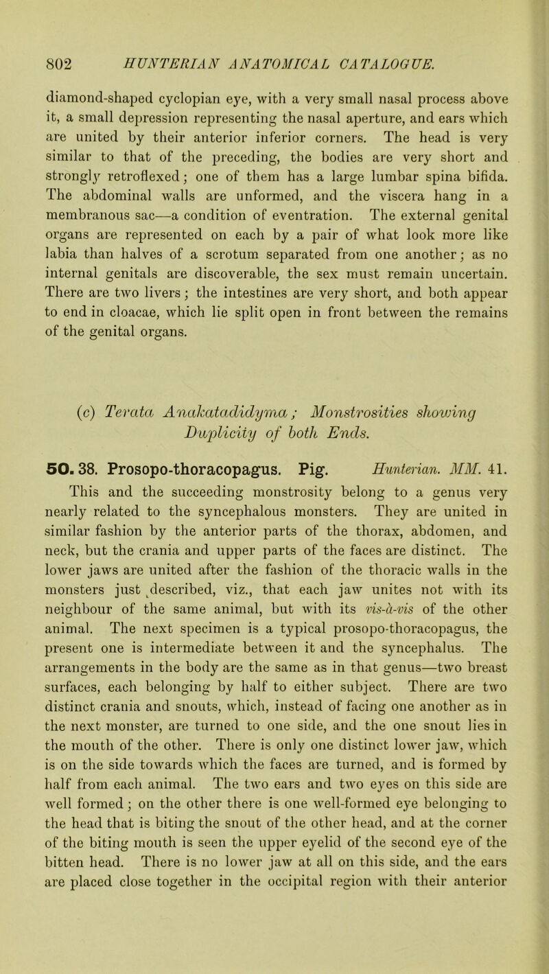 diamond-shaped cyclopian eye, with a very small nasal process above it, a small depression representing the nasal aperture, and ears which are united by their anterior inferior corners. The head is very similar to that of the preceding, the bodies are very short and strongljr retroflexed; one of them has a large lumbar spina bifida. The abdominal walls are unformed, and the viscera hang in a membranous sac—a condition of eventration. The external genital organs are represented on each by a pair of what look more like labia than halves of a scrotum separated from one another; as no internal genitals are discoverable, the sex must remain uncertain. There are two livers; the intestines are very short, and both appear to end in cloacae, which lie split open in front between the remains of the genital organs. (c) Terata Anakatadidyma; Monstrosities showing Duplicity of both Ends. 50.38. Prosopo-thoracopagus. Pig. Hunterian. MM. 41. This and the succeeding monstrosity belong to a genus very nearly related to the syncephalous monsters. They are united in similar fashion by the anterior parts of the thorax, abdomen, and neck, but the crania and upper parts of the faces are distinct. The lower jaws are united after the fashion of the thoracic walls in the monsters just described, viz., that each jaw unites not with its neighbour of the same animal, but with its vis-a-vis of the other animal. The next specimen is a typical prosopo-thoracopagus, the present one is intermediate between it and the syncephalus. The arrangements in the body are the same as in that genus—two breast surfaces, each belonging by half to either subject. There are two distinct crania and snouts, which, instead of facing one another as in the next monster, are turned to one side, and the one snout lies in the mouth of the other. There is only one distinct lower jaw, which is on the side towards which the faces are turned, and is formed by half from each animal. The two ears and two eyes on this side are well formed; on the other there is one well-formed eye belonging to the head that is biting the snout of the other head, and at the corner of the biting mouth is seen the upper eyelid of the second eye of the bitten head. There is no lower jaw at all on this side, and the ears are placed close together in the occipital region with their anterior