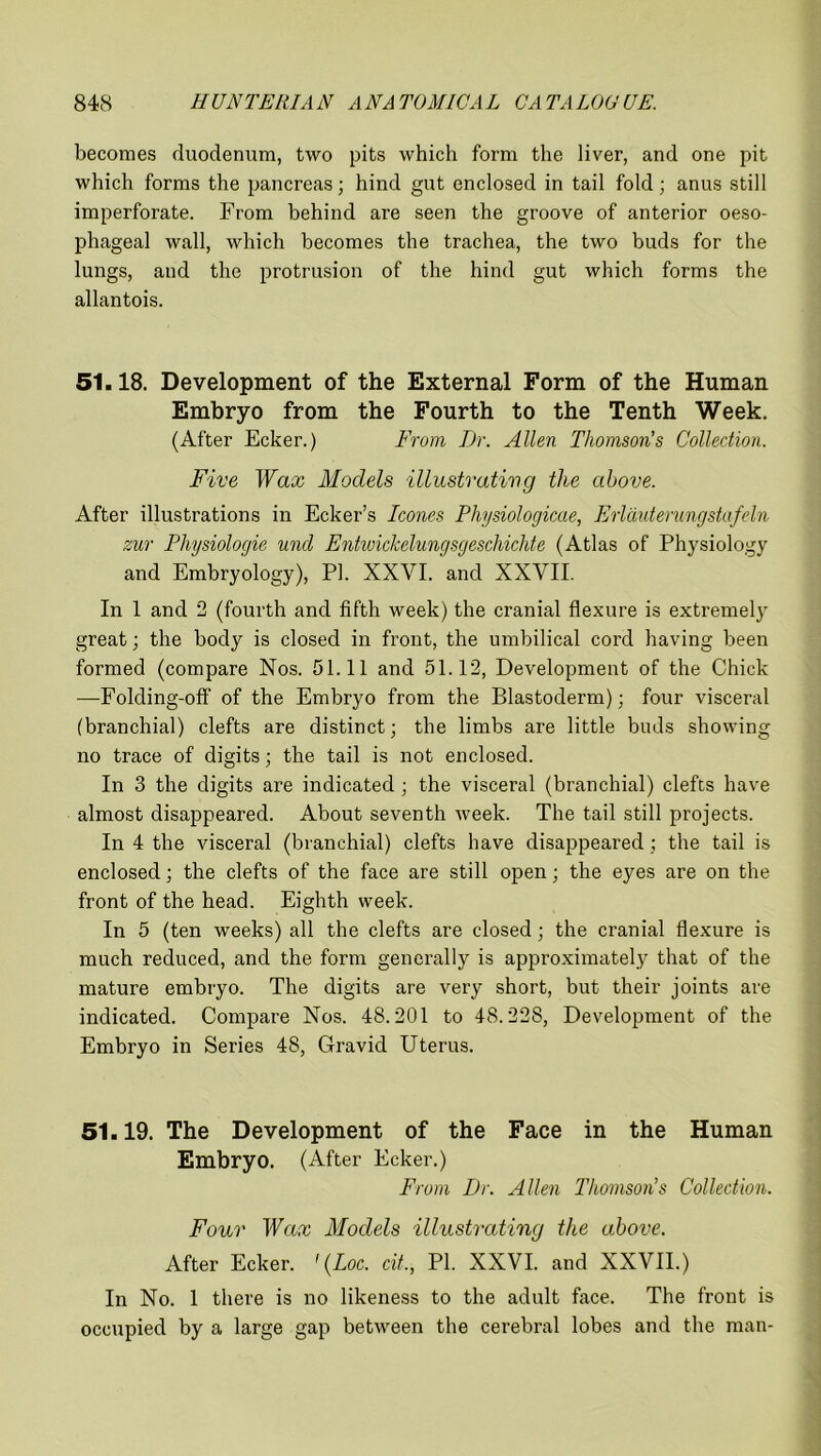 becomes duodenum, two pits which form the liver, and one pit which forms the pancreas; hind gut enclosed in tail fold; anus still imperforate. From behind are seen the groove of anterior oeso- phageal wall, which becomes the trachea, the two buds for the lungs, and the protrusion of the hind gut which forms the allantois. 51.18. Development of the External Form of the Human Embryo from the Fourth to the Tenth Week. (After Ecker.) From Dr. Allen Thomson's Collection. Five Wax Models illustrating the above. After illustrations in Ecker’s leones Physiologicae, Erlduterungstafeln zur Fhysiologie unci Entwickelungsgeschichte (Atlas of Physiology and Embryology), PI. XXVI. and XXVII. In 1 and 2 (fourth and fifth week) the cranial flexure is extremely great; the body is closed in front, the umbilical cord having been formed (compare Nos. 51.11 and 51.12, Development of the Chick —Folding-off of the Embryo from the Blastoderm); four visceral (branchial) clefts are distinct; the limbs are little buds showing no trace of digits; the tail is not enclosed. In 3 the digits are indicated ; the visceral (branchial) clefts have almost disappeared. About seventh week. The tail still projects. In 4 the visceral (branchial) clefts have disappeared; the tail is enclosed; the clefts of the face are still open; the eyes are on the front of the head. Eighth week. In 5 (ten weeks) all the clefts are closed; the cranial flexure is much reduced, and the form generally is approximately that of the mature embryo. The digits are very short, but their joints are indicated. Compare Nos. 48.201 to 48.228, Development of the Embryo in Series 48, Gravid Uterus. 51.19. The Development of the Face in the Human Embryo. (After Ecker.) From Dr. Allen Thomson's Collection. Four Wax Models illustrating the above. After Ecker. 1 (Loc. cit., PI. XXVI. and XXVII.) In No. 1 there is no likeness to the adult face. The front is occupied by a large gap between the cerebral lobes and the man-