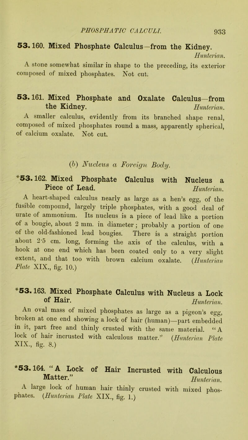 53.160. Mixed Phosphate Calculus—from the Kidney. Hunterian. A stone somewhat similar in shape to the preceding, its exterior composed of mixed phosphates. Not cut. 53.161. Mixed Phosphate and Oxalate Calculus—from the Kidney. Hunterian. A smaller calculus, evidently from its branched shape renal, composed of mixed phosphates round a mass, apparently spherical, of calcium oxalate. Not cut. (b) Nucleus a Foreign Body. *53.162. Mixed Phosphate Calculus with Nucleus a Piece of Lead. Hunterian. A heart-shaped calculus nearly as large as a hen’s ega;, of the fusible compound, largely triple phosphates, with a good deal of urate of ammonium. Its nucleus is a piece of lead like a portion of a bougie, about 2 mm. in diameter; probably a portion of one of the old-fashioned lead bougies. There is a straight portion about 2 5 cm. long, forming the axis of the calculus, with a hook at one end which has been coated only to a very slight extent, and that too with brown calcium oxalate. (Hunterian Plate XIX., fig. 10.) *53.163. Mixed Phosphate Calculus with Nucleus a Lock of Hair. Hunterian. An oval mass ol mixed phosphates as large as a pigeon’s egg, broken at one end showing a lock of hair (human)—part embedded in it, part free and thinly crusted with the same material. “ A lock of hair incrusted with calculous matter.” (Hunterian Plate XIX., fig. 8.) *53.164. “ A Lock of Hair Incrusted with Calculous Matter. Hunterian. A laxge lock of human hair thinly crusted with mixed phos- phates. {Hunterian Plate XIX., fig. 1.)