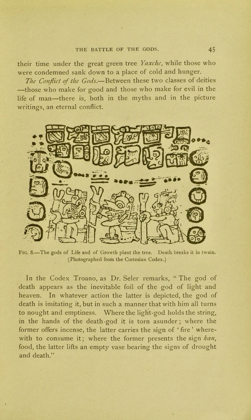their time under the great green tree Yaxche, while those who were condemned sank down to a place of cold and hunger. The Conflict of the Gods.—Between these two classes of deities —those who make for good and those who make for evil in the life of man—there is, both in the myths and in the picture writings, an eternal conflict. Fig. 8.—The gods of Life and of Growth plant the tree. Death breaks it in twain. (Photographed from the Cortesian Codex.) In the Codex Troano, as Dr. Seler remarks, “ The god of death appears as the inevitable foil of the god of light and heaven. In whatever action the latter is depicted, the god of death is imitating it, but in such a manner that with him all turns to nought and emptiness. Where the light-god holds the string, in the hands of the death-god it is torn asunder; where the former offers incense, the latter carries the sign of ‘fire ’ where- with to consume it; where the former presents the sign kan, food, the latter lifts an empty vase bearing the signs of drought and death.”