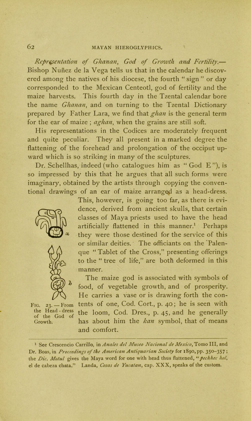 Representation of Ghanan, God of Growth and Fertility.— Bishop Nunez de la Vega tells us that in the calendar he discov- ered among the natives of his diocese, the fourth “sign ” or day corresponded to the Mexican Centeotl, god of fertility and the maize harvests. This fourth day in the Tzental calendar bore the name Ghanan, and on turning to the Tzental Dictionary prepared by Father Lara, we find that ghan is the general term for the ear of maize ; aghan, when the grains are still soft. His representations in the Codices are moderately frequent and quite peculiar. They all present in a marked degree the flattening of the forehead and prolongation of the occiput up- ward which is so striking in many of the sculptures. Dr. Schellhas, indeed (who catalogues him as “God E”), is so impressed by this that he argues that all such forms were imaginary, obtained by the artists through copying the conven- tional drawings of an ear of maize arranged as a head-dress. This, however, is going too far, as there is evi- dence, derived from ancient skulls, that certain classes of Maya priests used to have the head artificially flattened in this manner.1 Perhaps they were those destined for the service of this or similar deities. The officiants on the Palen- que “Tablet of the Cross,” presenting offerings to the “ tree of life,” are both deformed in this manner. The maize god is associated with symbols of food, of vegetable growth, and of prosperity. He carries a vase or is drawing forth the con- tents of one, Cod. Cort., p. 40; he is seen with the loom, Cod. Dres., p. 45, and he generally has about him the kan symbol, that of means and comfort. 1 See Crescendo Carrillo, in Anales del Museo Nacional de Mexico, To mo III, and Dr. Boas, in Proceedings of the American Antiquarian Society for 1890, pp. 350-357 ; the Die. Motul gives the Maya word for one with head thus flattened, “pechhec hoi, el de cabeza chata.” Landa, Cosas de Yucatan, cap. XXX, speaks of the custom. Fig. 23.—From the Head - dress of the God of Growth.