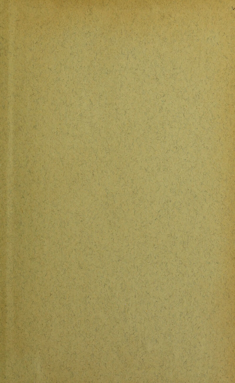 - t/- '' ’ ■■'■'■ ■ ' '1 l’’-' ‘ ■'■ '-’• ■' ' ■■' ■ .■■ I ■■ ,: f ■• '., ,%. . ,: . - .. ,'.\vV,;nV V '■'v;:; ■>-'• 'i :■ • ’ v-.v •:. 'w .V , • • V- ' ■ 3«;^ ' - ' ■■ r ■■ , >..- ;.:, .. . .. . , • ■. ■ -■ ■•/' \  •;•• I-' • '/'Y /.-y-Y ■/.-■■ Y'' \, • : y: .'YY'Y'.YY'. - V' ■/•- ''.„'.Ty Y’-\''' , ij'.v YYYYYj''Y 'i. r YVr/ f f' )f - 'X ' yx \ ,x. :■: Y'Y‘ ..Y-' ' r ■ \) ''Y'Y- ,. :.v-'''^‘’7--Y' ! ■ ■?.('''■ ; ',. Y-. .  ■,7''i ' /'' ;' ^ ^ A ^ .’ . ■ 1 • ^ '-■ 'S * :v^ YY'y^'■'■'■,.7Y^.'r- Y-Y^y Y''yY; ; - r Y'Y Y ; 'Y' ; 7 >7'- ■' ■i'V-Y ■ .' < • '■ 'y ^ *.' “ . .> Y •• f,'\ ; 1 |§v. $K- '// ; •.' ;-r - ' ■ ;■ ' :' ^:/J, V- 'iwC;' -</'iV ‘ ■•'’^.Z .■■ .{■:.•■ :■. '-r <V •;*<> V->■'Y ■ >,:,v, >•/•■>/.’ y ■;■. \V' .' /‘ -ji 'Xr-xrXi^ xt-x ^Xx^xSi^m 0W^H. xxxx~ ^ 'y : ■■ vl ■ •'W i ' A ! s-,-:'-’o-.V': ■ - ’i'■■ V .V ., •, ' ;,.. /•■'..■,;■ K-'-- .,V ■■' ■ ' ^^' ■''7’' ' ■ X 7-/' ■'■. X ■■-(''■...v- •:.-(' - ■ > V - r ' ■■ .. /^: ,-: Y ' /- /',' % ■ - ' • ■ '■'Y Y''v V. 's 7^ 'i ■ ''' <■ feä' :'•/■' i X >'X ■■ >'-■ -r. '.• i ' ' 'ii- ‘■<■7  '■: 'YY-'-YY''' YY^ ' - , ... .'■ ■■•:v - vv ' ' . ' ^ .-.-y''-V ’‘-:y-A Y' •■/' ^7,yyy'7..,: ... ;■>' c yy?-y-yyy '■■Y:;Yh47v#Y5^^^'YY:v:YYuYY- -YYY^^'YYH7:YYYY'Y Y'YY''fY Iv'YY XMxXxX: -tXx. Yv«. c fe^l«|t*Y7YvY¥YY'>7 y; YY7rY;.YYYYY; YY:#:YY,Y.YYY ■ :yy:Y'^^ Y^-Y■.^-y-^-'Y Yy vy'Ycyv yyy ;:; V ' yy;^ ■YYYy-;'''':l:'Y.y ‘y'Y,YYV'Y YY:,^ , yV y. YlY ,7 . Y 'Y : - > vYy.,v Y:H'/J7rv-,:v Y- Y A----‘’-i V.'. Y: '.. \ Y' V -. ■ Y ;-' Y .7' Y,. 7 '.'^ Y.v^; '.•;'' „‘'V'^YyYY '^ /Y; Xy x- X i . .. . V . , ■ . • .1 ■ • , \ V ■ • •.7\... •,‘- ,X' _■ j . 1.7^. r- Y'.' -Y'i fY'^' -'YY^' ■’ -YY''. ^'Y -Y; yyYVY yY:Y; i U-xX\ x-x''^Xx'X.r_x: \4'YV_- ^yY y ;,'Y. .'■ Y-, .\;^ 'Y' '-'fZ x)xX')Z-7^.',x- y T'-:. ’ ■ ^?Y'YY7! 7; f'- ‘Y /Y'./ 'XrXXX-\^^X:i X , ; ; jX- T^;...77. .7.7\ :.7S-7^77/\ ■: 7, XA^Mn7 7XiX-:77 -X^..■7l r Y.■ ..V-, ' X7XX^ XX.X} X.. yX(f.XXX’-7,<: X. 7; Y 77'V.Y'' 7j*;.Yt77 •7,,;^ .;'“V >7y/'-X:X!X -XX- X 'WxXXxX* XXX7^X:XX<XXxX:xfXX-:X^.^ :3‘% ' - X^7;i.y-r -XXxxX. ... \ J .X \ , ■iX-X:'.X- .■,Y, ., ,' , ■ J.-, t'•,■, /.„,1 - „ \ ■> ,..f-:' 7;itK •;' K; -■ Y--.tYrV7yY/:./7:Y,--,CY Y - WYyX., , vY :. Y,Y'-Y Y,.. Y;.,,;/Y ‘^YY- : Y'/>Y -Y--; , '■: “ 5 .Xxzyxr:,^:ä, Y/YrY Y'Y ,Y^' YY/Y ''-Y.;;.n ^ ^yYYy'^YY; rv '■ Y.. 'Y'. 7 'r r:A'..^7^^,v r’-7vv:.-, '-^ - » -. •.: '' ^ '■ 1 •' «V.. ‘ ■ M ■: ■ *• , w#.. Y' : - Y Y'yY7AY:Y7^(Y)y-^;Y Y;,;:;.; y 7’Yli \ .r- Y ^\r7-77'7^.77 j.,7,-;' -'■ ■' ■ ■■■.•,':■ ]x,\ '- X IX X :' 7 X ' '7 Y.X H-.> YY,-. Y. Y V;Y' ^r^^’Y ;7Y--^-yy, V-YY - .Y Y:/i^yY^;' '7- , '. Y ■f:i‘''Y'; %X,- ^ ,;>-'> '• '■ -XX'iXX 7.Y:Y?^* :XXi.xXX7^XjXrXXyyyX7^ XX.CXT^X^rM 4.tfY:,’*VY,Ys:' :vyY-^Yx'-Vi:yYYy7YiYYi,,;Y*v^