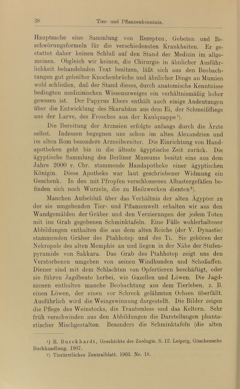 Hauptsache eine Sammlung von Rezepten, Gebeten und Be- schwörungsformeln für die verschiedensten Krankheiten. Er ge- stattet daher keinen Schluß auf den Stand der Medizin im allge- meinen. Obgleich wir keinen, die Chirurgie in ähnlicher Ausführ- lichkeit behandelnden Text besitzen, läßt sich aus den Beobach- tungen gut geheilter Knochenbrüche und ähnlicher Dinge an Mumien wohl schließen, daß der Stand dieses, durch anatomische Kenntnisse bedingten medizinischen Wissenszweiges ein verhältnismäßig hoher gewesen ist. Der Papyrus Ebers enthält auch einige Andeutungen über die Entwicklung des Skarabäus aus dem Ei, der Schmeißfliege aus der Larve, des Frosches aus der Kaulquappe’). Die Bereitung der Arzneien erfolgte anfangs durch die Ärzte selbst. Indessen begegnen uns schon im alten Alexandrien und im alten Rom besondere Arzneibereiter. Die Einrichtung von Hand- apotheken geht bis in die älteste ägyptische Zeit zurück. Die ägyj)tische Sammlung des Berliner Museums besitzt eine aus dem Jahre 2000 v. Chr. stammende Handapotheke einer ägyptischen Königin. Diese Apotheke war laut geschriebener Widmung ein Geschenk. In den mit Pfropfen verschlossenen Albastergefäßen be- flnden sich noch Wurzeln, die zu Heilzwecken dienten^). Manchen Aufschluß über das Verhältnis der alten Ägypter zu der sie umgebenden Tier- und Pflanzenwelt erhalten wir aus den Wandgemälden der Gräber und den Verzierungen der jedem Toten mit ins Grab gegebenen Schminktafeln. Eine Fülle wohlerhaltener Abbildungen enthalten die aus dem alten Reiche (der V. Dynastie) stammenden Gräber des Ptahhotep und des Ti. Sie gehören der Nekropole des alten Memphis an und liegen in der Nähe der Stufen- pyramide von Sakkara. Das Grab des Ptahhotep zeigt uns den Verstorbenen umgeben von seinen Windhunden und Schoßaffen. Diener sind mit dem Schlachten von Opfertieren beschäftigt, oder sie führen Jagdbeute herbei, wie Gazellen und Löwen. Die Jagd- szenen enthalten manche Beobachtung aus dem Tierleben, z. B. einen Löwen, der einen vor Schreck gelähmten Ochsen überfällt. Ausführlich wird die Weingewinnung dargestellt. Die Bilder zeigen die Pflege des Weinstocks, die Traubenlese und das Keltern. Sehr früh verschwinden aus den Abbildungen die Darstellungen phanta- stischer Mischgestalten. Besonders die Schminktafeln (die alten 1) R. B urck liardt, Geschichte der Zoologie. S. 12. Leipzig, Göschensche Buchhandlung. 1907. Tierärztliches Zentralblatt. 1903. Nr. 18.