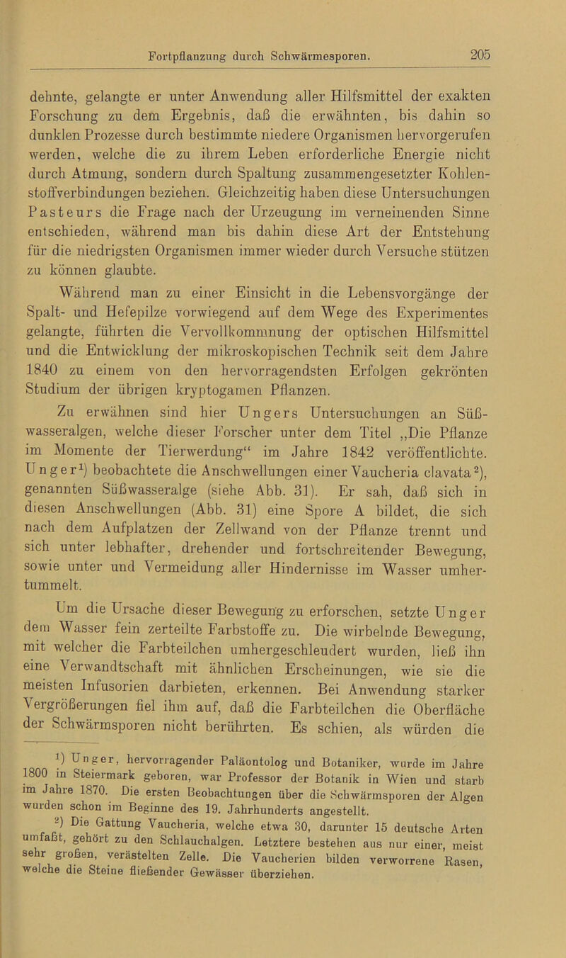 dehnte, gelangte er unter Anwendung aller Hilfsmittel der exakten Forschung zu dem Ergebnis, daß die erwähnten, bis dahin so dunklen Prozesse durch bestimmte niedere Organismen hervorgerufen werden, welche die zu ihrem Leben erforderliche Energie nicht durch Atmung, sondern durch Spaltung zusammengesetzter Kohlen- stoffverbindungen beziehen. Gleichzeitig haben diese Untersuchungen Pasteurs die Frage nach der Urzeugung im verneinenden Sinne entschieden, während man bis dahin diese Art der Entstehung für die niedrigsten Organismen immer wieder durch Versuche stützen zu können glaubte. Während man zu einer Einsicht in die Lebensvorgänge der Spalt- und Hefepilze vorwiegend auf dem Wege des Experimentes gelangte, führten die Vervollkommnung der optischen Hilfsmittel und die Entwicklung der mikroskopischen Technik seit dem Jahre 1840 zu einem von den hervorragendsten Erfolgen gekrönten Studium der übrigen kryptogamen Pflanzen. Zu erwähnen sind hier Ungers Untersuchungen an Süß- wasseralgen, welche dieser Forscher unter dem Titel „Die Pflanze im Momente der Tierwerdung“ im Jahre 1842 veröffentlichte. U nger1) beobachtete die Anschwellungen einer Vaucheria clavata2), genannten Süßwasseralge (siehe Abb. 31). Er sah, daß sich in diesen Anschwellungen (Abb. 31) eine Spore A bildet, die sich nach dem Aufplatzen der Zellwand von der Pflanze trennt und sich unter lebhafter, drehender und fortschreitender Bewegung, sowie unter und Vermeidung aller Hindernisse im Wasser umher- tummelt. Um die Ursache dieser Bewegung zu erforschen, setzte Unger dem Wasser fein zerteilte Farbstoffe zu. Die wirbelnde Bewegung, mit welcher die Farbteilchen umhergeschleudert wurden, ließ ihn eine Verwandtschaft mit ähnlichen Erscheinungen, wie sie die meisten Intusorien darbieten, erkennen. Bei Anwendung starker Vergrößerungen fiel ihm auf, daß die Farbteilchen die Oberfläche dei Schwärmsporen nicht berührten. Es schien, als würden die U Unger, hervorragender Paläontolog und Botaniker, wurde im Jahre 1800 in Steiermark geboren, war Professor der Botanik in Wien und starb im Jahre 1870. Die ersten Beobachtungen über die Schwärmsporen der Algen wurden schon im Beginne des 19. Jahrhunderts angestellt. -) Die Gattung Vaucheria, welche etwa 30, darunter 15 deutsche Arten umfaßt, gehört zu den Schlauchalgen. Letztere bestehen aus nur einer, meist se r großen, verästelten Zelle. Die Vaucherien bilden verworrene Rasen welche die Steine fließender Gewässer überziehen.