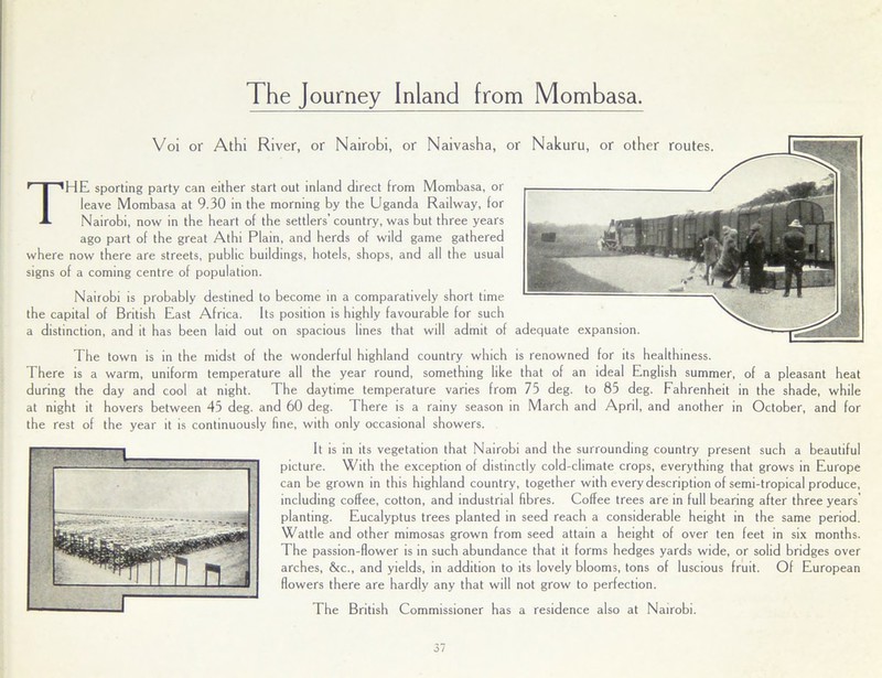 The Journey Inland from Mombasa. Voi or Athi River, or Nairobi, or Naivasha, or Nakuru, or other routes. THE sporting party can either start out inland direct from Mombasa, or leave Mombasa at 9.30 in the morning by the Uganda Railway, for Nairobi, now in the heart of the settlers’ country, was but three years ago part of the great Athi Plain, and herds of wild game gathered where now there are streets, public buildings, hotels, shops, and all the usual signs of a coming centre of population. Nairobi is probably destined to become in a comparatively short time the capital of British East Africa. Its position is highly favourable for such a distinction, and it has been laid out on spacious lines that will admit of The town is in the midst of the wonderful highland country which is renowned for its healthiness. There is a warm, uniform temperature all the year round, something like that of an ideal English summer, of a pleasant heat during the day and cool at night. The daytime temperature varies from 75 deg. to 85 deg. Fahrenheit in the shade, while at night it hovers between 45 deg. and 60 deg. There is a rainy season in March and April, and another in October, and for the rest of the year it is continuously fine, with only occasional showers. It is in its vegetation that Nairobi and the surrounding country present such a beautiful picture. With the exception of distinctly cold-climate crops, everything that grows in Europe can be grown in this highland country, together with every description of semi-tropical produce, including coffee, cotton, and industrial fibres. Coffee trees are in full bearing after three years’ planting. Eucalyptus trees planted in seed reach a considerable height in the same period. Wattle and other mimosas grown from seed attain a height of over ten feet in six months. The passion-flower is in such abundance that it forms hedges yards wide, or solid bridges over arches, &c., and yields, in addition to its lovely blooms, tons of luscious fruit. Of European flowers there are hardly any that will not grow to perfection. The British Commissioner has a residence also at Nairobi.