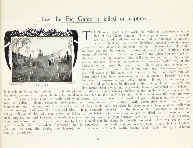 How the Big Game is killed or captured. There is no sport in the world that yields an excitement equal to that of Big Game hunting. The range is so wide, the animals are so varied, and the conditions and surroundings so unusual. You can hunt on foot or on horseback, according to the game you are in quest of, and in the longer journeys from forest to forest, or lake to lake, you can be carried in native style and saved exertion, 'l our escort will be fully alive to all your wants, and when you once get on the track of the big mammals, they will often give you both a stern chase and a long one. The lion, as becomes the “ king of beasts, will tax the resources of your party the most, because he is wary and cunning, and only ventures forth from his lair in the night-time. Your men, however, are well aware of his habits, and from natives here and there you will learn where lions have been seen, and go in pursuit. Possibly you may be able to surprise a lion while hiding. If so, all the energy of yourself and party must be directed to the hunting of him. Usually, the lion roams about alone, only occasionally being accompanied by the lioness. It is only in Africa that the lion is to be found, but he still exists in enormous numbers in the jungles which are reached by the Mombasa route. Elephant hunting has its dangers, too, but to the really alert and resolute sportsman the risks are very small. Elephants move about in herds, and when chased can rush away at a wonderful pace. Strategy has to e use as well as bullets. Some elephants give plenty of sport, others are captured with comparative ease. s or t e hippopotami and rhinocen, they are unwieldy and of lazy habits, and can often be come upon in large num ers wa owing on the swampy borders of the rivers and lakes. It is popularly believed that the hide of the rhinoceros is bullet-pioo, but a well-planted shot will soon prove the fallacy of the belief. The rhinoceros is greatly aided by his keen sense ot smell and hearing, and however cautiously you move he will know of your approach and beat a swift, if ungain y, retreat. You must chase him. It is also necessary to bear in mind that he should be mortally wounded before you get to cose quarters with him, for when “cornered he is dangerous. A most highly-interesting sport is a so u ao unting. As for the rest, the giraffe, the leopard, and the eland are well worth looking after, each offering a different kind of experience.