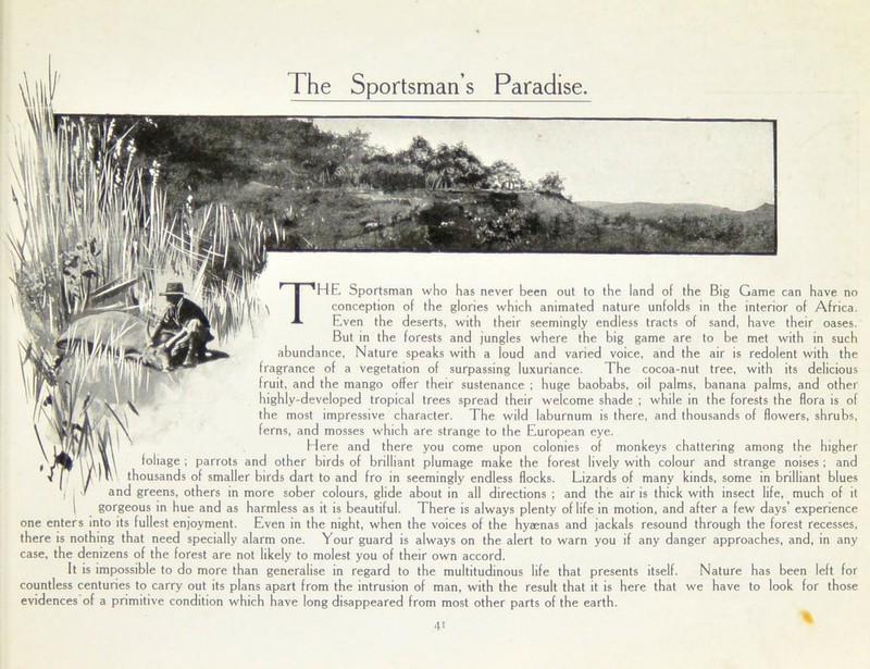 The Sportsman s Paradise. 'HE Sportsman who has never been out to the land of the Big Game can have no conception of the glories which animated nature unfolds in the interior of Africa. Even the deserts, with their seemingly endless tracts of sand, have their oases. But in the forests and jungles where the big game are to be met with in such abundance, Nature speaks with a loud and varied voice, and the air is redolent with the fragrance of a vegetation of surpassing luxuriance. The cocoa-nut tree, with its delicious fruit, and the mango offer their sustenance ; huge baobabs, oil palms, banana palms, and other highly-developed tropical trees spread their welcome shade ; while in the forests the flora is of the most impressive character. The wild laburnum is there, and thousands of flowers, shrubs, V \ ferns, and mosses which are strange to the European eye. liMifv \f\ Here and there you come upon colonies of monkeys chattering among the higher ■ “'1 ' foliage; parrots and other birds of brilliant plumage make the forest lively with colour and strange noises; and thousands of smaller birds dart to and fro in seemingly endless flocks. Lizards of many kinds, some in brilliant blues and greens, others in more sober colours, glide about in all directions ; and the air is thick with insect life, much of it l gorgeous in hue and as harmless as it is beautiful. There is always plenty of life in motion, and after a few days’ experience one enters into its fullest enjoyment. Even in the night, when the voices of the hyaenas and jackals resound through the forest recesses, there is nothing that need specially alarm one. Your guard is always on the alert to warn you if any danger approaches, and, in any case, the denizens of the forest are not likely to molest you of their own accord. It is impossible to do more than generalise in regard to the multitudinous life that presents itself. Nature has been left for countless centuries to carry out its plans apart from the intrusion of man, with the result that it is here that we have to look for those evidences of a primitive condition which have long disappeared from most other parts of the earth. 4i