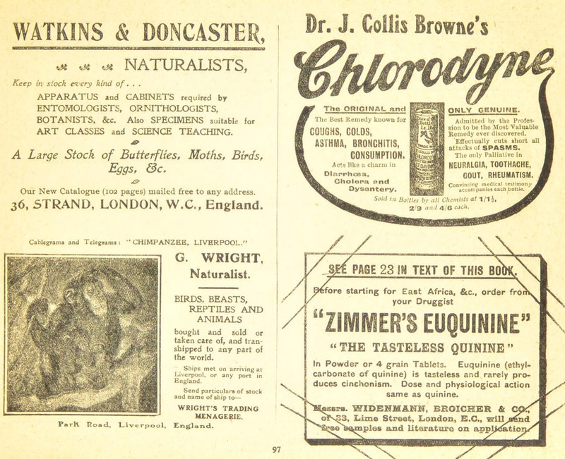 WATKINS & DONCASTER, •m rjt NATURALISTS, Keep in stock ev ery kind of.. . APPARATUS and CABINETS required by ENTOMOLOGISTS, ORNITHOLOGISTS, BOTANISTS, &c. Also SPECIMENS suitable for ART CLASSES and SCIENCE TEACHING. A Large Stock of Butterflies, Moths, Birds, Eggs, &c. & Our New Catalogue (102 pages) mailed free to any address. 36, STRAND, LONDON, W.C., England. Cablegram# and Telegrams: “CHIMPANZEE, LIVERPOOL.” G. WRIGHT, Naturalist. BIRDS, BEASTS, REPTILES AND ANIMALS bought and sold or taken care of, and tran- shipped to any part of the world. Ships met on arriving at Liverpool, or any port in England. Send particulars of stock and name of ship to— WRIGHT S TRADING MENAGERIE. ParK Road. Liverpool, England. ktOKCO'i PAGE 23 IN TEXT OF THIS BO ifore starting for East Africa, &c., order fro your Druggist “ZIMMER'S EUQUININE” “THE TASTELESS QUININE” In Powder or 4 grain Tablets. Euquinine (ethyl- carbonate of quinine) is tasteless and rarely pro- duces cinchonism. Dose and physiological action Dr. J. Collis Browne’s The ORIGINAL and The Best Remedy known for | GOUGHS, GOLDS, ASTHMA, BRONCHITIS, CONSUMPTION. Acts like a charm in Diarrhoea, Cholera nnd Dysentery, ONLY GENUINE. Admitted by the Profes- sion to be the Most Valuable Remedy ever discovered. Effectually cuts short all attacks of SPASMS. The only Palliative in NEURALGIA, TOOTHACHE, GOUT, RHEUMATISM. Convincing medical testimony . accompanies each bottle. Sold in Bottles by all Chemists at 1/15, 2/9 and 4/6 cach-