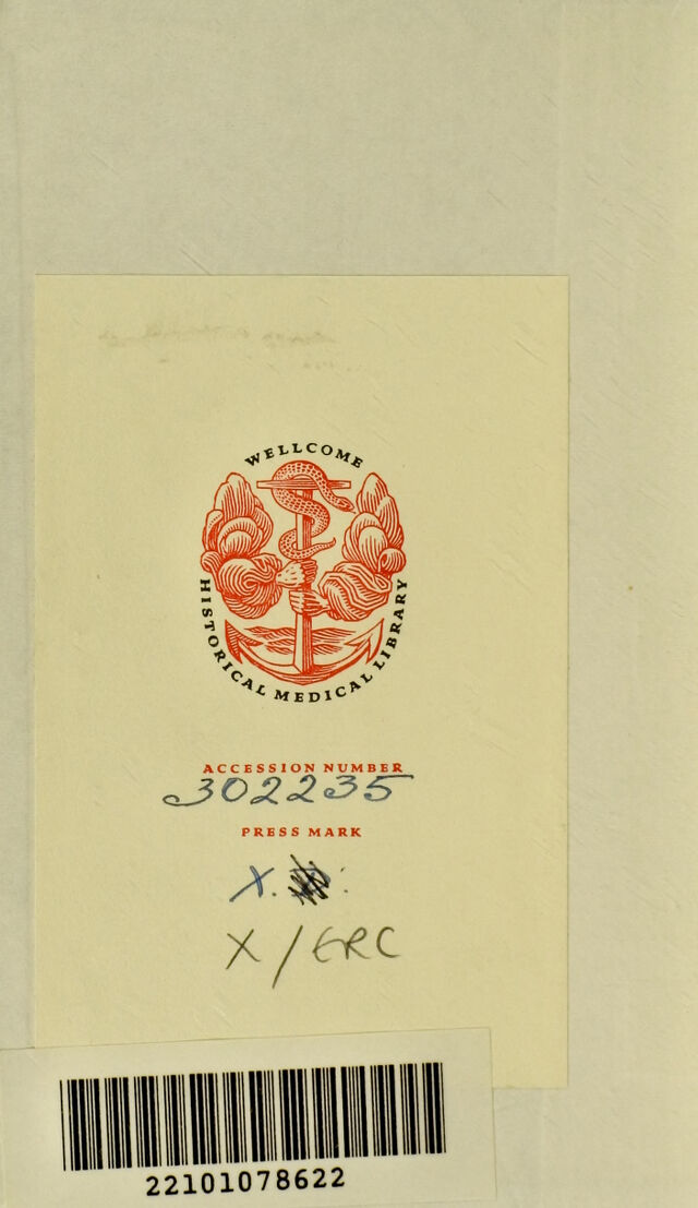 digitised image 2