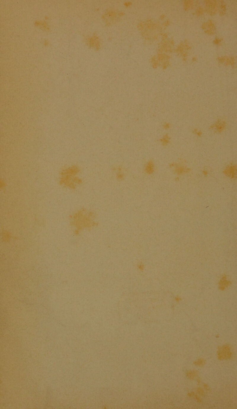 ’ y 1 'W <» ^ ■ t. ld