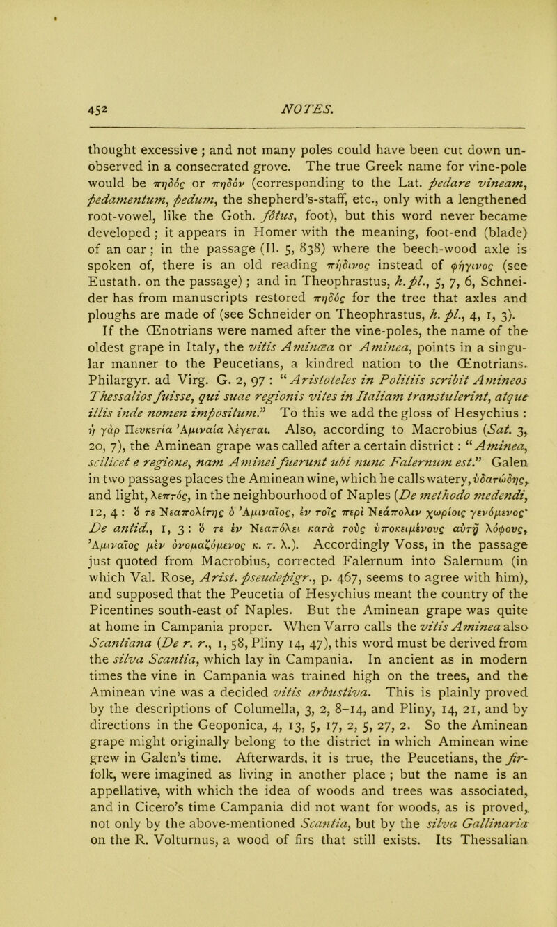 thought excessive ; and not many poles could have been cut down un- observed in a consecrated grove. The true Greek name for vine-pole would be TTTjdog or 7njbov (corresponding to the Lat. pedare vineam, pedamenlum, -pedum, the shepherd’s-staff, etc., only with a lengthened root-vowel, like the Goth, fotus, foot), but this word never became developed ; it appears in Homer with the meaning, foot-end (blade) of an oar ; in the passage (II. 5, 838) where the beech-wood axle is spoken of, there is an old reading 7n)Sivog instead of (priytvog (see Eustath. on the passage); and in Theophrastus, h.pl., 5, 7, 6, Schnei- der has from manuscripts restored -TnjSog for the tree that axles and ploughs are made of (see Schneider on Theophrastus, h. pi., 4, 1, 3). If the CEnotrians were named after the vine-poles, the name of the oldest grape in Italy, the vitis Amincea or Aminea, points in a singu- lar manner to the Peucetians, a kindred nation to the CEnotrians. Philargyr. ad Virg. G. 2, 97 : “ Aristoteles in Politiis scribit Amineos Thessalios fuisse, qui suae regionis vites in Italia7n transtulerint, atque illis inde nome?i imposition.” To this we add the gloss of Hesychius : }) yap ntvKsrla ’Ap.ivaia Xkytrai. Also, according to Macrobius (Sat. 3,. 20, 7), the Aminean grape was called after a certain district: “Aminea, scilicet e regione, nam Aminei fuerunt ubi nu?ic Falernum est.” Galen, in two passages places the Aminean wine, which he calls watery, ySa-udrig, and light, Xtnrog, in the neighbourhood of Naples (De methodo inedendi, 12, 4 • b rs ’Nta7roX'iT7]g b ’Afiivalog, tv rolg 7rtpi ~Nea7roXiv xupioig yevopevog* De antid., I, 3 : 0 rs tv ’Nta7r6Xei Kara rovg v-noKtiptvovg avry X6(povgy ’ApavaTog pitv ovopa^opevog k. t. X.). Accordingly Voss, in the passage just quoted from Macrobius, corrected Falernum into Salernum (in which Val. Rose, Arist. pseudepigr., p. 467, seems to agree with him), and supposed that the Peucetia of Hesychius meant the country of the Picentines south-east of Naples. But the Aminean grape was quite at home in Campania proper. When Varro calls the vitis Aminea also Scantiana (De r. r., 1, 58, Pliny 14, 47), this word must be derived from the silva Scantia, which lay in Campania. In ancient as in modern times the vine in Campania was trained high on the trees, and the Aminean vine was a decided vitis arbustiva. This is plainly proved by the descriptions of Columella, 3, 2, 8-14, and Pliny, 14, 21, and by directions in the Geoponica, 4, 13, 5, 17, 2, 5, 27, 2. So the Aminean grape might originally belong to the district in which Aminean wine grew in Galen’s time. Afterwards, it is true, the Peucetians, the fir- folk, were imagined as living in another place ; but the name is an appellative, with which the idea of woods and trees was associated, and in Cicero’s time Campania did not want for woods, as is proved,, not only by the above-mentioned Scantia, but by the silva Gallinaria on the R. Volturnus, a wood of firs that still exists. Its Thessalian
