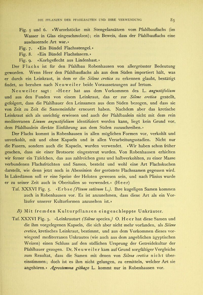 Fig. 5 und 6. «Wurzelstöcke mit Stengelansätzen vom Pfahlbauflachs (im Wasser in Glas eingeschmolzen); ein Beweis, dass der Pfahlbauflachs eine ausdauernde Art war.» Fig. 7, «Ein Bündel Flachsstengel.» Fig. 8. «Ein Bündel Flachsfasern.» Fig. 9. «Korbgeflecht aus Lindenbast.» Der Flachs ist für den Pfahlbau Robenhausen von allergrösster Bedeutung geworden. Wenn Heer den Pfahlbauflachs als aus dem Süden importiert hält, was er durch ein Leinkraut, in dem er die Silene cretica zu erkennen glaubt, bestätigt findet, so beruhen nach Neu weil er beide Voraussetzungen auf Irrtum. Neu Weiler sagt: «Heer hat aus dem Vorkommen des L. angustifolium und aus den Funden von einem Leinkraut, das er zur Silene cretica gestellt, gefolgert, dass die Pfahlbauer den Leinsamen aus dem Süden bezogen, und dass sie von Zeit zu Zeit die Sameneinfuhr erneuert haben. Nachdem aber das kretische Leinkraut sich als unrichtig erwiesen und auch der Pfahlbaulein nicht mit dem rein mediterranen Linum angustifolium identifiziert werden kann, liegt kein Grund vor, dem Pfahlbaulein direkte Einführung aus dem Süden zuzuschreiben.» Der Flachs kommt in Robenhausen in allen möglichen Formen vor, verkohlt und unverkohlt, mit und ohne Kapseln und in allen Verarbeitungsstadien. Nicht nur die Fasern, sondern auch die Kapseln, wurden verwendet. «Wir haben schon früher gesehen, dass sie einer Brotsorte eingestreut wurden. Von Robenhausen erhielten wir ferner ein Täfelchen, das aus zahlreichen ganz und halbverkohlten, zu einer Masse verbundenen Flachsfrüchten und Samen, besteht und wohl eine Art Flachskuchen darstellt, wie denn jetzt noch in Abessinien der geröstete Flachssamen gegessen wird. In Lakedämon soll er eine Speise der Heloten gewesen sein, und nach Plinius wurde er zu seiner Zeit auch in Oberitalien so verwendet.» (Heer) Taf. XXXVI Fig. 5. «Erbse (Pisum sativum L.^. Ihre kugeligen Samen kommen auch in Robenhausen vor. Es ist anzunehmen, dass diese Art als ein Vor- läufer unserer Kulturformen anzusehen ist.» B) Mit fremden Kulturpflanzen eingeschleppte Unkräuter. Taf. XXXVI Fig. 3. «Leinkrautart (Silene species.^ O. Heer hat diese Samen und die ihm vorgelegenen Kapseln, die sich aber nicht mehr vorfanden, als Silene cretica, kretisches Leinkraut, bestimmt, und aus dem Vorkommen dieses vor- wiegend mediterranen Unkrautes (wie auch aus dem angeblichen ägyptischen Weizen) einen Schluss auf den südlichen Ursprung der Getreidekultur der Pfahlbauer gezogen. Dr. N e u w e i 1 e r kam auf Grund sorgfältiger Vergleiche zum Resultat, dass die Samen mit denen von Silene cretica nicht über- einstimmen ; doch ist es ihm nicht gelungen, zu ermitteln, welcher Art sie angehören.» Agrostemma githago L. kommt nur in Robenhausen vor.