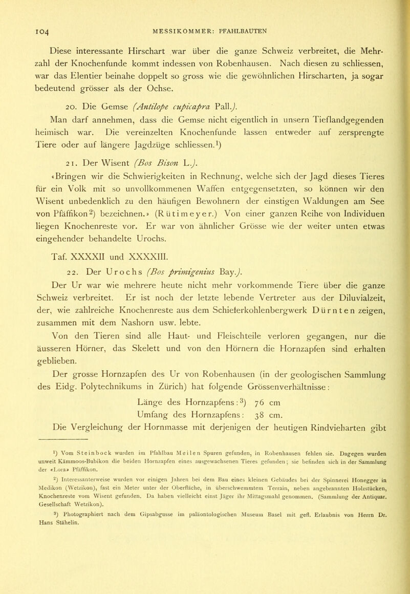 Diese interessante Hirschart war über die ganze Schweiz verbreitet, die Mehr- zahl der Knochenfunde kommt indessen von Robenhausen. Nach diesen zu schliessen, war das Elentier beinahe doppelt so gross wie die gewöhnlichen Hirscharten, ja sogar bedeutend grösser als der Ochse. 20. Die Gemse (Antilope cupicapra Pall.y). Man darf annehmen, dass die Gemse nicht eigentlich in unsern Tieflandgegenden heimisch war. Die vereinzelten Knochenfunde lassen entweder auf zersprengte Tiere oder auf längere Jagdzüge schliessen. 2 1. Der Wisent (Bos Bison \^.). «Bringen wir die Schwierigkeiten in Rechnung, welche sich der Jagd dieses Tieres für ein Volk mit so unvollkommenen Waffen entgegensetzten, so können wir den Wisent unbedenklich zu den häufigen Bewohnern der einstigen Waldungen am See von Pfäffikon^) bezeichnen.» (Rütimeyer.) Von einer ganzen Reihe von Individuen liegen Knochenreste vor. Er war von ähnlicher Grösse wie der weiter unten etwas eingehender behandelte Urochs. Taf. XXXXII und XXXXIII. 2 2. Der Urochs (Bos primigenius Bay.y). Der Ur war wie mehrere heute nicht mehr vorkommende Tiere über die ganze Schweiz verbreitet. Er ist noch der letzte lebende Vertreter aus der Diluvialzeit, der, wie zahlreiche Knochenreste aus dem Schieterkohlenbergwerk D ü r n t e n zeigen, zusammen mit dem Nashorn usw. lebte. Von den Tieren sind alle Haut- und Fleischteile verloren gegangen, nur die äusseren Hörner, das Skelett und von den Hörnern die Hornzapfen sind erhalten geblieben. Der grosse Hornzapfen des Ur von Robenhausen (in der geologischen Sammlung des Eidg. Polytechnikums in Zürich) hat folgende Grössenverhältnisse: Länge des Hornzapfens; ^) 76 cm Umfang des Hornzapfens: 38 cm. Die Vergleichung der Hornmasse mit derjenigen der heutigen Rindvieharten gibt *) Vom Steinbock wurden im Pfahlbau Meilen Spuren gefunden, in Robenhausen fehlen sie. Dagegen wurden unweit Kämmoos-Bubikon die beiden Hornzapfen eines ausgewachsenen Tieres gefunden; sie befinden sich in der Sammlung der «Lora> Pfäffikon. 2) Interessanterweise wurden vor einigen Jahren bei dem Bau eines kleinen Gebäudes bei der Spinnerei Honegger in Medikon (Wetzikon), fast ein Meter unter der Oberfläche, in überschwemmtem Terrain, neben angebrannten Holzstücken, Knochenreste vom Wisent gefunden. Da haben vielleicht einst Jäger ihr Mittagsmahl genommen. (Sammlung der Antiquar. Gesellschaft Wetzikon). 3) Photographiert nach dem Gipsabgüsse im paläontologischen Museum Basel mit gefl. Erlaubnis von Herrn Dr. Hans Stähelin.