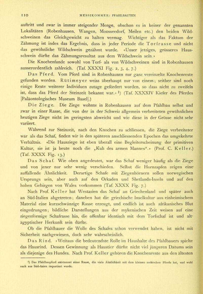 auftritt und zwar in immer steigender Menge, obschon es in keiner der genannten Lokalitäten (Robenhausen, Wangen, Moosseedorf, Meilen etc.) den beiden Wild- schweinen das Gleichgewicht zu halten vermag. Wichtiger als das Faktum der Zähmung ist indes das Ergebnis, dass in jeder Periode die Torfrasse und nicht das gewöhnliche Wildschwein gezähmt wurde. «Unser jetziges, grösseres Haus- schwein dürfte das Zähmungsresultat aus dem Wildschwein sein.» Die Knochenfunde sowohl von Torf- als von Wildschweinen sind in Robenhausen ausserordentlich zahlreich. (Taf. XXXXI Fig. 2, 3, 4, 7.) Das Pferd. Vom Pferd sind in Robenhausen nur ganz vereinzelte Knochenreste gefunden worden. Rütimeyer weiss überhaupt nur von einem; seither sind noch einige Reste weiterer Individuen zutage gefördert worden, so dass nicht zu zweifeln ist, dass das Pferd der Steinzeit bekannt war.» l) (Taf. XXXXIV Kiefer des Pferdes [Paläontologisches Museum Basel].) Die Ziege. Die Ziege wohnte in Robenhausen auf dem Pfahlbau selbst und zwar in einer Rasse, die von der in der Schweiz allgemein verbreiteten gewöhnlichen heutigen Ziege nicht im geringsten abweicht und wie diese in der Grösse nicht sehr variiert. Während zur Steinzeit, nach den Knochen zu schliessen, die Ziege verbreiteter war als das Schaf, finden wir in den späteren anschliessenden Epochen das umgekehrte Verhältnis. «Die Hausziege ist eben überall eine Begleiterscheinung der primitiven Kultur, sie ist ja heute noch die „Kuh des armen Mannes“.» (Prof. C. Keller.) (Taf. XXXX Fig. 13.) Das Schaf. Wie oben angedeutet, war das Schaf weniger häufig als die Ziege und von jener nur sehr wenig verschieden. Selbst die Hornzapfen zeigen eine auffallende Ähnlichkeit. Derartige Schafe mit Ziegenhörnern sollen norwegischen Ursprungs sein, aber auch auf den Orkaden und Shetlands-Inseln und auf den hohen Gebirgen von Wales Vorkommen (Taf. XXXX Fig. 7.) Nach Prof. Keller hat Westasien das Schaf an Griechenland und später auch an Süd-Italien abgetreten; daneben hat die griechische Inselkultur aus einheimischem Material eine kurzschwänzige Rasse erzeugt, und endlich ist auch afrikanisches Blut eingedrungen; bildliche Darstellungen aus der mykenischen Zeit weisen auf eine ziegenförmige Schafrasse hin, die offenbar identisch mit dem Torfschaf ist und alt- ägyptischer Herkunft sein dürfte. Ob die Pfahlbauer die Wolle des Schafes schon verwendet haben, ist nicht mit Sicherheit nachgewiesen, doch sehr wahrscheinlich. Das Rind. «Weitaus die bedeutendste Rolle im Haushalte des Pfahlbauers spielte das Hausrind. Dessen Gewinnung als Haustier dürfte nicht viel jüngeren Datums sein als diejenige des Hundes. Nach Prof. Keller gehören die Knochenreste aus den ältesten 1) Das Pfahlbaupferd entstammt einer Rasse, die viele Ähnlichkeit mit dem kleinen arabischen Pferde hat, und wohl auch aus Süd-Asien importiert wurde.