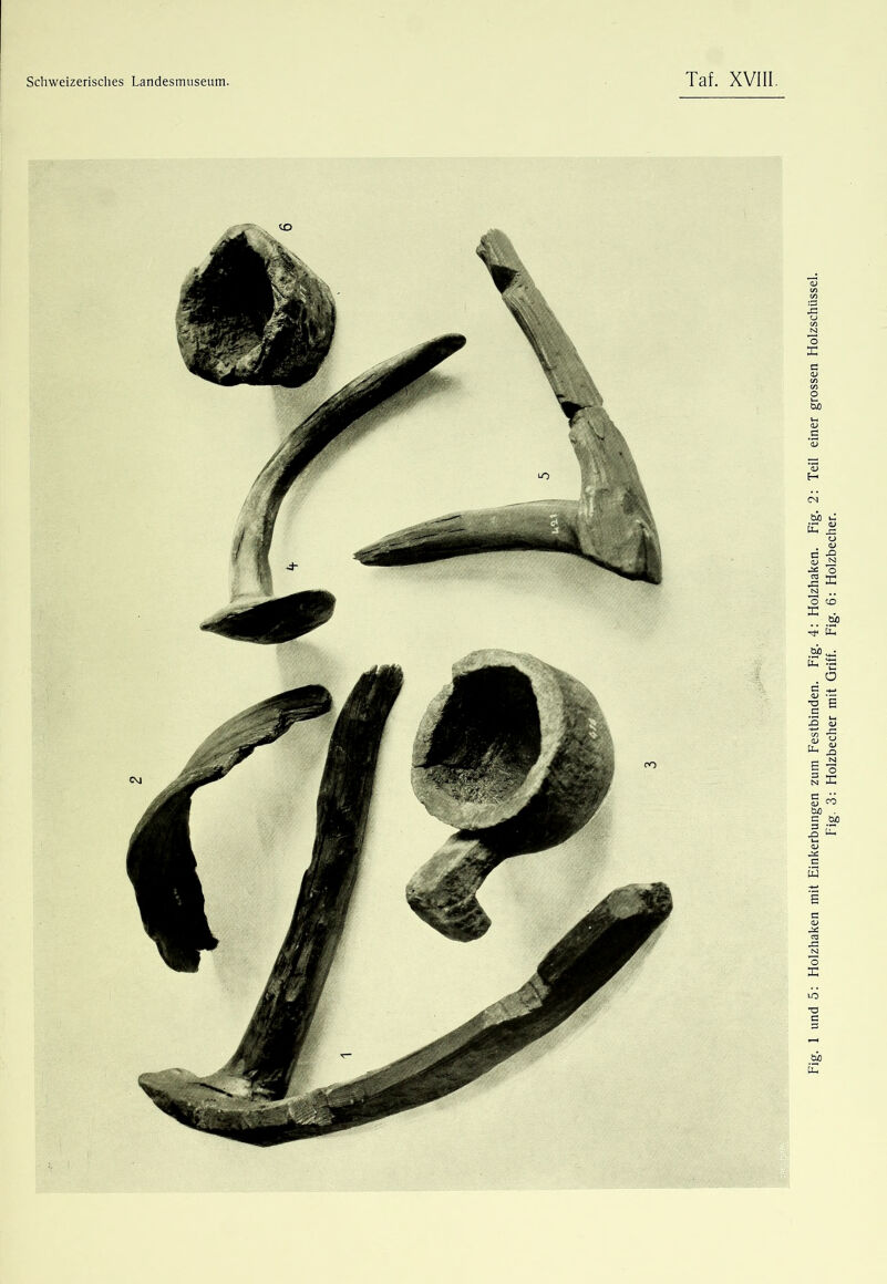 Fig. 1 und 5: Holzhaken mit Einkerbungen zum Festbinden. Fig. 4: Holzhaken. Fig. 2; Teil einer grossen Holzschüssel. Fig. 3; Holzbecher mit Griff. Fig. 6: Holzbecher.