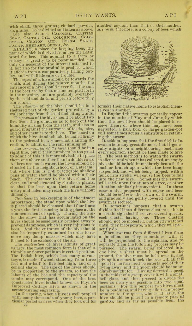 f with chalk, three grains; rhubarb powder, «ix grains. To be divided and taken as above. See also Aloes, Calo.mel, Castile SO.A.P, Castor Oil, Colchichm, Colo- CYXTii, Croton Oil, Epsoji Salts, JAL.A.P, Rhubarb, Senna, &c. apiary, a place for keeping bees, the name of which is derived from apis the Latin word for bee. This adjunct to a farm or cottage is greatly to be recommended, not only on account of the interest attached to it, but also for the profitable produce which it aflbrds from a comparatively trifling out- lay, and with little care or trouble. The aspect of a hive should be towards the south, and during the winter months the entrance of a hive should never face the sun, as the bees are by that means tempted forth in the morning, and are probably overtaken by the cold and dark, and perish before they can return. The situation of the hive should be in a sheltered part of the garden, protected by a wall or hedge from the cold and biting winds. The poj/tion of the hive should be about two feet from the ground, so as to keep out the humidity arising from the earth, and also to guard it against the entrance of toads, mice, and other enemies to the bees. The board on which the hive stands should be nailed firmly to the pedestal in a somewhat slanting di- rection, to admit of the rain running off The arrangement of the hives should be in a right line, but if their numbers be too great to admit of this it is more advisable to place them one above another than in double rows. As bees' use much water, the hives should be situated in the neighbourhood of a stream ; but where this is not practicable shallow pans of water should be placed within their reach. The entrance to the hive should be clear, and unobstructed by shrubs or plants, so that the bees upon their return home weary and laden may reach the hive without difficulty. Cleanliness in bee-keeping is of the utmost Importance; the stand upon which the hive is placed should be cleansed about four times a year, the first cleansing taking place at the commencement of spring. During the win- ter the snow that has accumulated on the hives should be assiduously brushed away to prevent dampness, which is very injurious to bees. And tlie entrance of the hive should also be frequently examined in order to re- move any damp masses which may have formed to the exclusion of the air. The construction of hives admits of great variety, the most common form is that of a thimble or flower pot in an inverted position. The Rolish hive, which has many advan- tages, is made of wood, standing from three feet and a-half to five feet higli, and of a conical shape. The size of the hives should be in proportion to the swarm, so that the labours of the bee and the capacity of the combs may correspond. One of the best constructed hives is that known us Rayne’s Improved Cottage Hive, as shown in the accompanying engraving. In tlie spring, when a hive is well peopled ■with many thousands of young bees, a par- ticular period arrives 'vhen they look out for 29 another asylum than that of their mother. A sicarm, therefore, is a colony of bees which forsake their native home to establish them- selves in another. In England tlie swarms generally appear in the mouths of Jlay and June, by which time the new hives should be placed to re- ceive them; or where this may have been neglected, a, pail, box, or large garden-pot will sometimes act as a substitute in retain- ing the swarm. It seldom happens that the first flight of a swarm is to any great distance, but it gene- rally alights on a neighbouring bush, and every exertion should he then made to hive it. The best method is to watch the swarm in silence, and when it has collected, an empty liive should beheld immediately beneath the bush or branch upon which the bees hang suspended, and which being tapped, with ai quick firm stroke, will cause the bees to fall into the new hive. Sometimes the swarm will settle upru the stump of a tree, or other situation similarly inconvenient. In these cases a hive prepared with sugar and beer should be helU over the crown of the s'ivarm, and gradually and gently lowered until the swarm is secured. It sometimes happens that a swarm divides itself into different clusters ; this is a certain sign that there are several queens, each cluster having one. These clusters should not be molested, but quietly watched until they incorporate, which they will pre- sently do. When swarms from different hives form a junction, as they sometimes will, it will be prejudicial to the apiarian, and to separate them tlie following process may be pursued. The swarm being collected into one hive, a sheet must be spread on the ground, the hive must be held over it, and giving it a smart knock the bees will all fall upon it; no fear need be entertained of their flying away, and the queen should bo imme- diatcdysought for. Having detected aqueen in the midst of a group, cover it with a small boll glass, and then proceed to divide the bees as nearly us po.ssibIe into two equal portions. For Ibis purpose two hives must tie in readiness, ami liavliig allotted a projier number to the (|ueeii, \i ho is at laiT.t, the hive should be placed in a remote jiart ol gurde^i, and as fur as possible from th»