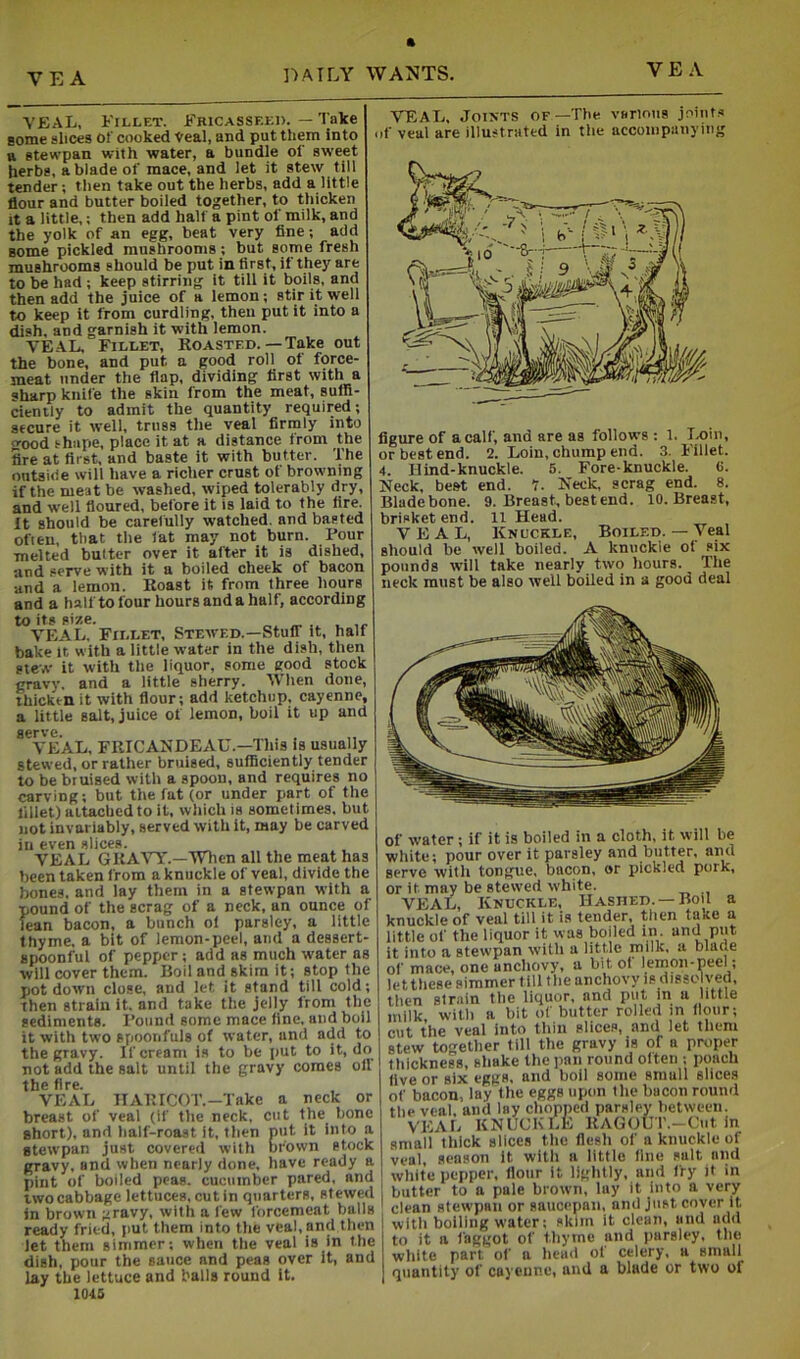 VEAL, Fillet. Fricasseed. — Take gome slices Of cooked Veal, and put them into a stewpan with water, a bundle of sweet herbs, a blade of mace, and let it stew till tender; then take out the herbs, add a little flour and butter boiled together, to thicken It a little,; then add half a pint of milk, and the yolk of an egg, beat very fine; add gome pickled mushrooms; but some fresh mushrooms should be put in first, if they are to be had ; keep stirring it till it boils, and then add the juice of a lemon; stir it well to keep it from curdling, then put it into a dish, and garnish it with lemon. VEAL, Fillet, Roasted.—Take out the bone, and put a good roll of force- meat under the flap, dividing first with a sharp knife the skin from the meat, suffl- cienily to admit the quantity required; secure it well, truss the veal firmly into crood shape, place it at a distance from the lire at first, and baste it with butter. The outside will have a richer crust of browning if the meat be washed, wiped tolerably dry, and well floured, before it is laid to the fire. It should be carefully watched, and basted ofien, that the lat may not burn. Pour melted butter over it after it is dished, and serve with it a boiled cheek of bacon and a lemon. Roast it from three hours and a half to four hours and a half, according to its size. . ,, VEAL. Fillet, Stewed.—StulT it, half bake it with a little water in the dish, then stew it with the liquor, some good stock gravy, and a little sherry. Vhen done, thicken it with flour; add ketchup, cayenne, a little salt, juice of lemon, boil it up and S6rV6 VEAL, FRICANDEAU.—This is usually stewed, or rather bruised, sufficiently tender to be bruised with a spoon, and requires no carving; but the fat (or under part of the fillet) attached to it, which is sometimes, but not invariably, served with It, may be carved in even slices. VEAL GRAVY.—When all the meat has been taken from a knuckle of veal, divide the bones, and lay them in a stewpan with a pound of the scrag of a neck, an ounce of lean bacon, a bunch of parsley, a little thyme, a bit of lemon-peel, and a dessert- spoonful of pepper; add as much water as will cover them. Boil and skim it; stop the pot down close, and let it stand till cold; Then strain it. and take the jelly from the sediments. Pound some mace fine, and boil it with two spoonfuls of water, and add to the gravy. If cream is to be put to it, do not add the salt until the gravy comes off the fire. VEAL TIARICOT.-Take a neck or breast of veal (if the neck, cut the bone short), and half-roast it, then put it into a stewpan just covered with brown stock gravy, and when nearly done, have ready a pint of boiled peas, cucumber pared, and TWO cabbage lettuces, cut in quarters, stewed in brown gravy, with a few forcemeat balls ready fried, jiut them into the veal, and then let them simmer; when the veal is in the dish, pour the sauce and peas over it, and lay the lettuce and balls round it. 1045 VEAL, JoiXTS OF—The various joint.s of veal are illustrated in the accoinpanying figure of a calf, and are as follows : 1. Ixiin, or best end. 2. Loin, chump end. 3. Fillet. 4. Hind-knuckle. 5. Fore-knuckle. (i. Neck, best end. 1. Neck, scrag end. 8. Bladebone. 9. Breast, bestend. 10. Breast, brisket end. 11 Head. VEAL, Knuckle, Boiled. — Veal should be well boiled. A knuckle of six pounds will take nearly two hours. The neck must be also well boiled in a good deal of water; if it is boiled in a cloth, it will be white; pour over it parsley and butter, and serve with tongue, bacon, or pickled pork, or it may be sterved white. VEAL, Knuckle, Hashed. —Boil a knuckle of veal till it is tender, then take a little of the liquor it was boiled in. and put it into a stewpan with a little milk, a blade of mace, one anchovy, a bit ol lemoii-peei; letthese simmer till the anchovy is disso ved, then strain the liquor, and put in a little milk with a bit of butter rolled in flour; cut the veal into thin slices, and let them stew together till the gravy is of a proper thickness, shake the pan round often ; poach five or six eggs, and boil some small slices of bacon, lay the eggs upon the bacon round the veal, and lay chopped parsley between. VEAL KNUCKLE RAGOUT.-Ciit in small thick slices the flesh of a knuckle of veal, season it with a little fine salt and white pepper, flour It lightly, and fry it in butter to a pale brown, lay it into a very clean stewpan or saucepan, and Just cover it with boiling water; skim it clean, and add to it a faggot of tliyine and parsley, the white part of a head of celery, a small quantity of cayenne, and a blade or two of