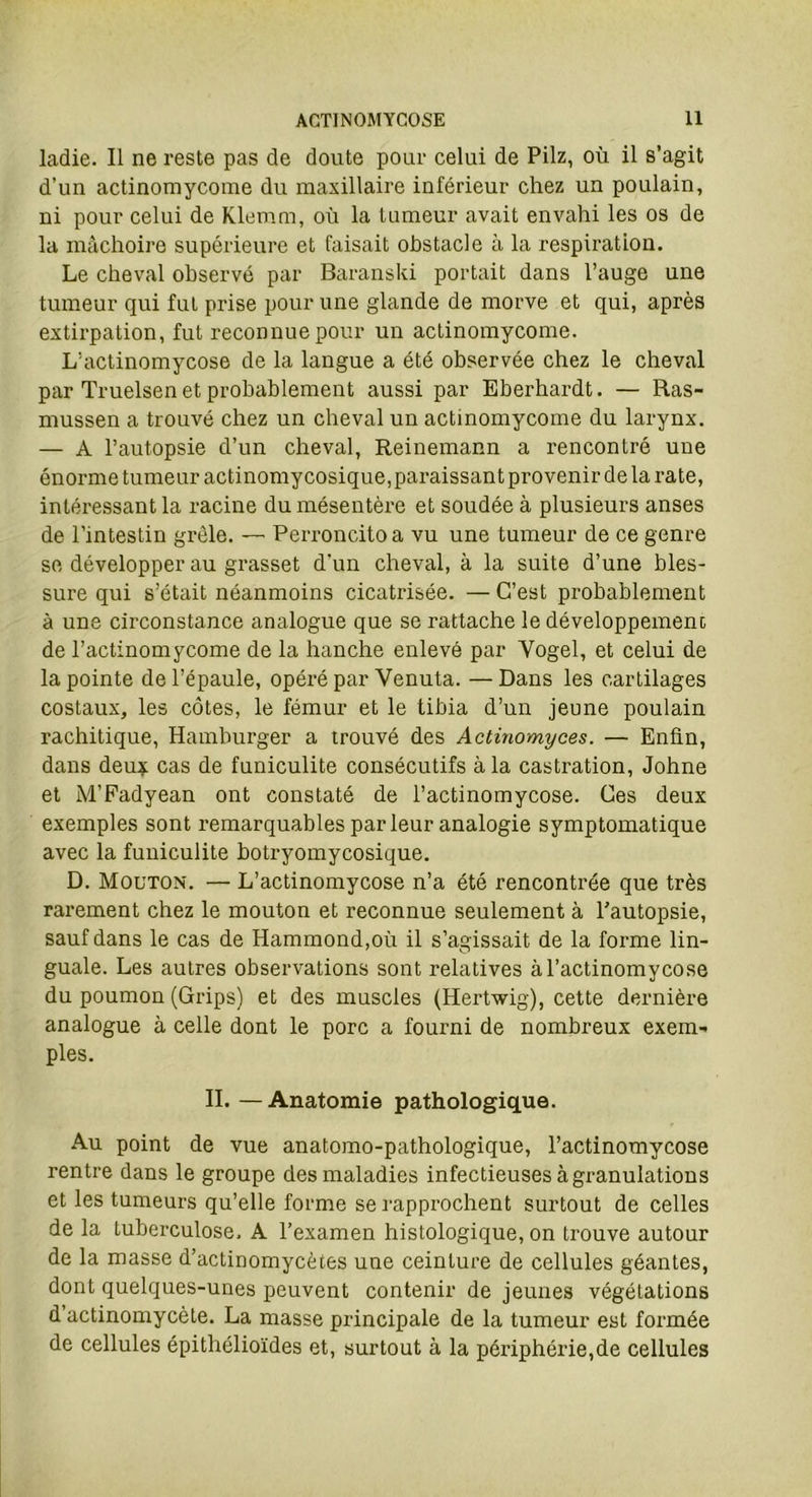 ladie. Il ne reste pas de doute pour celui de Pilz, où il s’agit d’un actinomycome du maxillaire inférieur chez un poulain, ni pour celui de Klemm, où la tumeur avait envahi les os de la mâchoire supérieure et faisait obstacle à la respiration. Le cheval observé par Baranski portait dans l’auge une tumeur qui fut prise pour une glande de morve et qui, après extirpation, fut reconnue pour un actinomycome. L'actinomycose de la langue a été observée chez le cheval par Truelsen et probablement aussi par Eberhardt. — Ras- mussen a trouvé chez un cheval un actinomycome du larynx. — A l’autopsie d’un cheval, Reinemann a rencontré une énorme tumeur actinomycosique, paraissant provenir de la rate, intéressant la racine du mésentère et soudée à plusieurs anses de l’intestin grêle. — Perroncito a vu une tumeur de ce genre se développer au grasset d’un cheval, à la suite d’une bles- sure qui s’était néanmoins cicatrisée. — C’est probablement à une circonstance analogue que se rattache le développement de l’actinomycome de la hanche enlevé par Yogel, et celui de la pointe de l’épaule, opéré par Venuta. —Dans les cartilages costaux, les côtes, le fémur et le tibia d’un jeune poulain rachitique, Hamburger a trouvé des Actinomyces. — Enfin, dans deux cas de funiculite consécutifs à la castration, Johne et M’Fadyean ont constaté de l’actinomycose. Ces deux exemples sont remarquables par leur analogie symptomatique avec la funiculite botryomycosique. D. Mouton. — L’actinomycose n’a été rencontrée que très rarement chez le mouton et reconnue seulement à l’autopsie, sauf dans le cas de Hammond,où il s’agissait de la forme lin- guale. Les autres observations sont relatives à l’actinomycose du poumon (Grips) et des muscles (Hertwig), cette dernière analogue à celle dont le porc a fourni de nombreux exem- ples. II. —Anatomie pathologique. Au point de vue anatomo-pathologique, l’actinomycose rentre dans le groupe des maladies infectieuses à granulations et les tumeurs qu’elle forme se rapprochent surtout de celles de la tuberculose. A l’examen histologique, on trouve autour de la masse d’actinomycètes une ceinture de cellules géantes, dont quelques-unes peuvent contenir de jeunes végétations d’actinomycète. La masse principale de la tumeur est formée de cellules épithélioïdes et, surtout à la périphérie,de cellules
