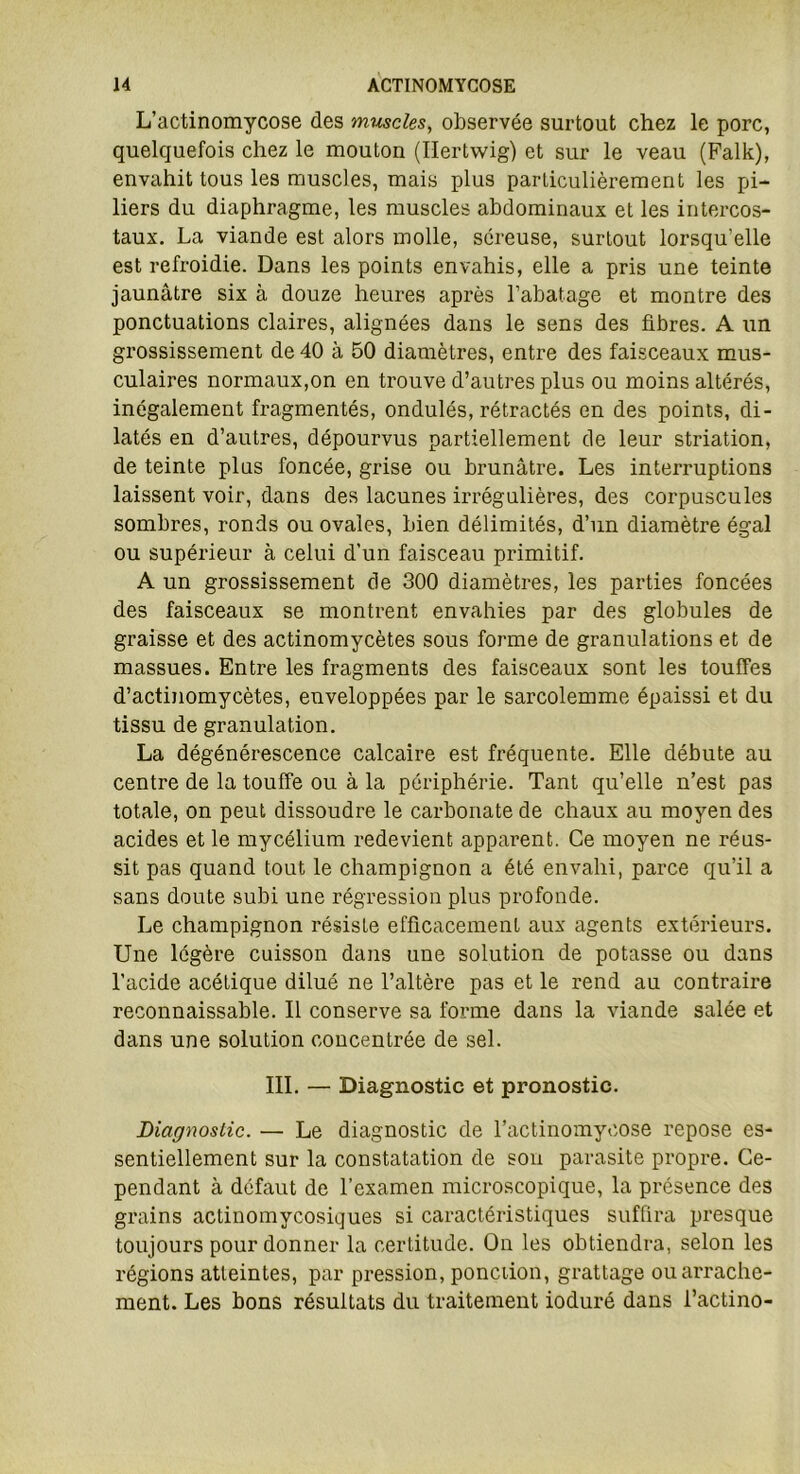 L’actinomycose des muscles, observée surtout chez le porc, quelquefois chez le mouton (Ilertwig) et sur le veau (Falk), envahit tous les muscles, mais plus particulièrement les pi- liers du diaphragme, les muscles abdominaux et les intercos- taux. La viande est alors molle, séreuse, surtout lorsqu’elle est refroidie. Dans les points envahis, elle a pris une teinte jaunâtre six à douze heures après l’abatage et montre des ponctuations claires, alignées dans le sens des fibres. A un grossissement de 40 à 50 diamètres, entre des faisceaux mus- culaires normaux,on en trouve d’autres plus ou moins altérés, inégalement fragmentés, ondulés, rétractés en des points, di- latés en d’autres, dépourvus partiellement de leur striation, de teinte plus foncée, grise ou brunâtre. Les interruptions laissent voir, dans des lacunes irrégulières, des corpuscules sombres, ronds ou ovales, bien délimités, d’un diamètre égal ou supérieur à celui d'un faisceau primitif. A un grossissement de 300 diamètres, les parties foncées des faisceaux se montrent envahies par des globules de graisse et des actinomycètes sous forme de granulations et de massues. Entre les fragments des faisceaux sont les touffes d’actinomycètes, enveloppées par le sarcolemme épaissi et du tissu de granulation. La dégénérescence calcaire est fréquente. Elle débute au centre de la touffe ou à la périphérie. Tant qu’elle n’est pas totale, on peut dissoudre le carbonate de chaux au moyen des acides et le mycélium redevient apparent. Ce moyen ne réus- sit pas quand tout le champignon a été envahi, parce qu’il a sans doute subi une régression plus profonde. Le champignon résiste efficacement aux agents extérieurs. Une légère cuisson dans une solution de potasse ou dans l’acide acétique dilué ne l’altère pas et le rend au contraire reconnaissable. Il conserve sa forme dans la viande salée et dans une solution concentrée de sel. III. — Diagnostic et pronostic. Diagnostic. — Le diagnostic de l’actinomycose repose es- sentiellement sur la constatation de sou parasite propre. Ce- pendant à défaut de l’examen microscopique, la présence des grains actinomycosiques si caractéristiques suffira presque toujours pour donner la certitude. On les obtiendra, selon les régions atteintes, par pression, ponction, grattage ou arrache- ment. Les bons résultats du traitement ioduré dans l’actino-