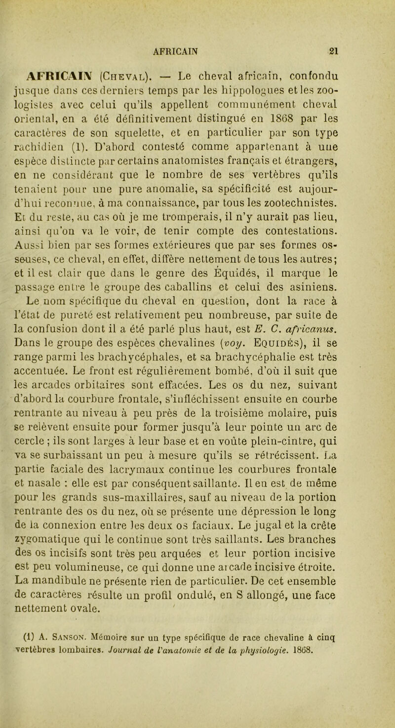 AFRICAIN (Cheval). — Le cheval africain, confondu jusque dans ces derniers temps par les hippologues et les zoo- logistes avec celui qu’ils appellent communément cheval oriental, en a été définitivement distingué en 1868 par les caractères de son squelette, et en particulier par son type rachidien (1). D’ahord contesté comme appartenant à une espèce distincte par certains anatomistes français et étrangers, en ne considérant que le nombre de ses vertèbres qu’ils tenaient pour une pure anomalie, sa spécificité est aujour- d'hui reconnue, à ma connaissance, par tous les zootechnistes. Et du reste, au cas où je me tromperais, il n’y aurait pas lieu, ainsi qu’on va le voir, de tenir compte des contestations. Aussi bien par ses formes extérieures que par ses formes os- seuses, ce cheval, en effet, diffère nettement de tous les autres; et il est clair que dans le genre des Equidés, il marque le passage entre le groupe des caballins et celui des asiniens. Le nom spécifique du cheval en question, dont la race à l’état de pureté est relativement peu nombreuse, par suite de la confusion dont il a été parlé plus haut, est E. C. africanus. Dans le groupe des espèces chevalines {voy. Equidés), il se range parmi les brachycéphales, et sa brachycéphalie est très accentuée. Le front est régulièrement bombé, d’où il suit que les arcades orbitaires sont effacées. Les os du nez, suivant d’abord la courbure frontale, s’infléchissent ensuite en courbe rentrante au niveau à peu près de la troisième molaire, puis se relèvent ensuite pour former jusqu’à leur pointe un arc de cercle ; ils sont larges à leur base et en voûte plein-cintre, qui va se surbaissant un peu à mesure qu’ils se rétrécissent. La partie faciale des lacrymaux continue les courbures frontale et nasale : elle est par conséquent saillante. lien est de même pour les grands sus-maxillaires, sauf au niveau de la portion rentrante des os du nez, où se présente une dépression le long de ia connexion entre les deux os faciaux. Le jugal et la crête zygomatique qui le continue sont très saillants. Les branches des os incisifs sont très peu arquées et leur portion incisive est peu volumineuse, ce qui donne une aicade incisive étroite. La mandibule ne présente rien de particulier. De cet ensemble de caractères résulte un profil ondulé, en S allongé, une face nettement ovale. (1) A. Sanson. Mémoire sur un type spécifique de race chevaline à cinq vertèbres lombaires. Journal de l'anatomie et de la physiologie. 1868.