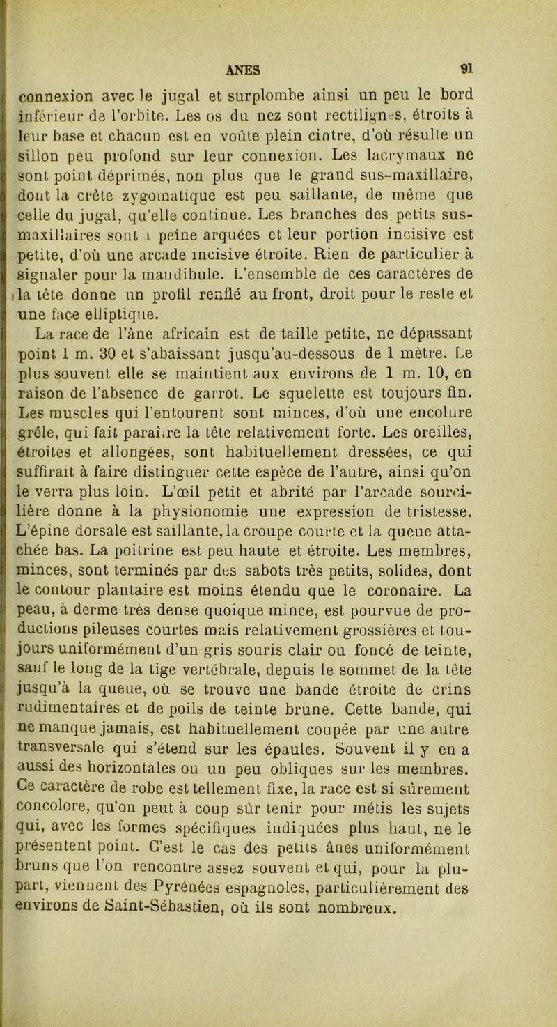 connexion avec le jugal et surplombe ainsi un peu le bord inférieur de l’orbite. Les os du nez sont rectilignes, étroits à leur base et chacun est en voûte plein cintre, d’où résulte un sillon peu profond sur leur connexion. Les lacrymaux ne sont point déprimés, non plus que le grand sus-maxillaire, dont la crête zygomatique est peu saillante, de même que celle du jugal, qu’elle continue. Les branches des petits sus- maxillaires sont t peine arquées et leur portion incisive est petite, d’où une arcade incisive étroite. Rien de particulier à signaler pour la mandibule. L’ensemble de ces caractères de ila tête donne un profil renflé au front, droit pour le reste et une face elliptique. La race de l’àne africain est de taille petite, ne dépassant point 1 m. 30 et s’abaissant jusqu’au-dessous de 1 mètre. Le plus souvent elle se maintient aux environs de 1 m. 10, en raison de l’absence de garrot. Le squelette est toujours fin. Les muscles qui l’entourent sont minces, d’où une encolure grêle, qui fait paraître la tête relativement forte. Les oreilles, étroites et allongées, sont habituellement dressées, ce qui suffirait à faire distinguer cette espèce de l’autre, ainsi qu’on le verra plus loin. L’œil petit et abrité par l’arcade sourci- lière donne à la physionomie une expression de tristesse. L’épine dorsale est saillante, la croupe courte et la queue atta- chée bas. La poitrine est peu haute et étroite. Les membres, minces, sont terminés par dus sabots très petits, solides, dont le contour plantaire est moins étendu que le coronaire. La peau, à derme très dense quoique mince, est pourvue de pro- ductions pileuses courtes mais relativement grossières et tou- jours uniformément d’un gris souris clair ou foncé de teinte, sauf le long de la tige vertébrale, depuis le sommet de la tête jusqu’à la queue, où se trouve une bande étroite de crins rudimentaires et de poils de teinte brune. Cette bande, qui ne manque jamais, est habituellement coupée par une autre transversale qui s’étend sur les épaules. Souvent il y en a aussi des horizontales ou un peu obliques sur les membres. Ce caractère de robe est tellement fixe, la race est si sûrement concolore, qu’on peut à coup sûr tenir pour métis les sujets qui, avec les formes spécifiques indiquées plus haut, ne le présentent point. C’est le cas des petits ânes uniformément bruns que 1 on rencontre assez souvent et qui, pour la plu- 1 part, viennent des Pyrénées espagnoles, particulièrement des environs de Saint-Sébastien, où ils sont nombreux.