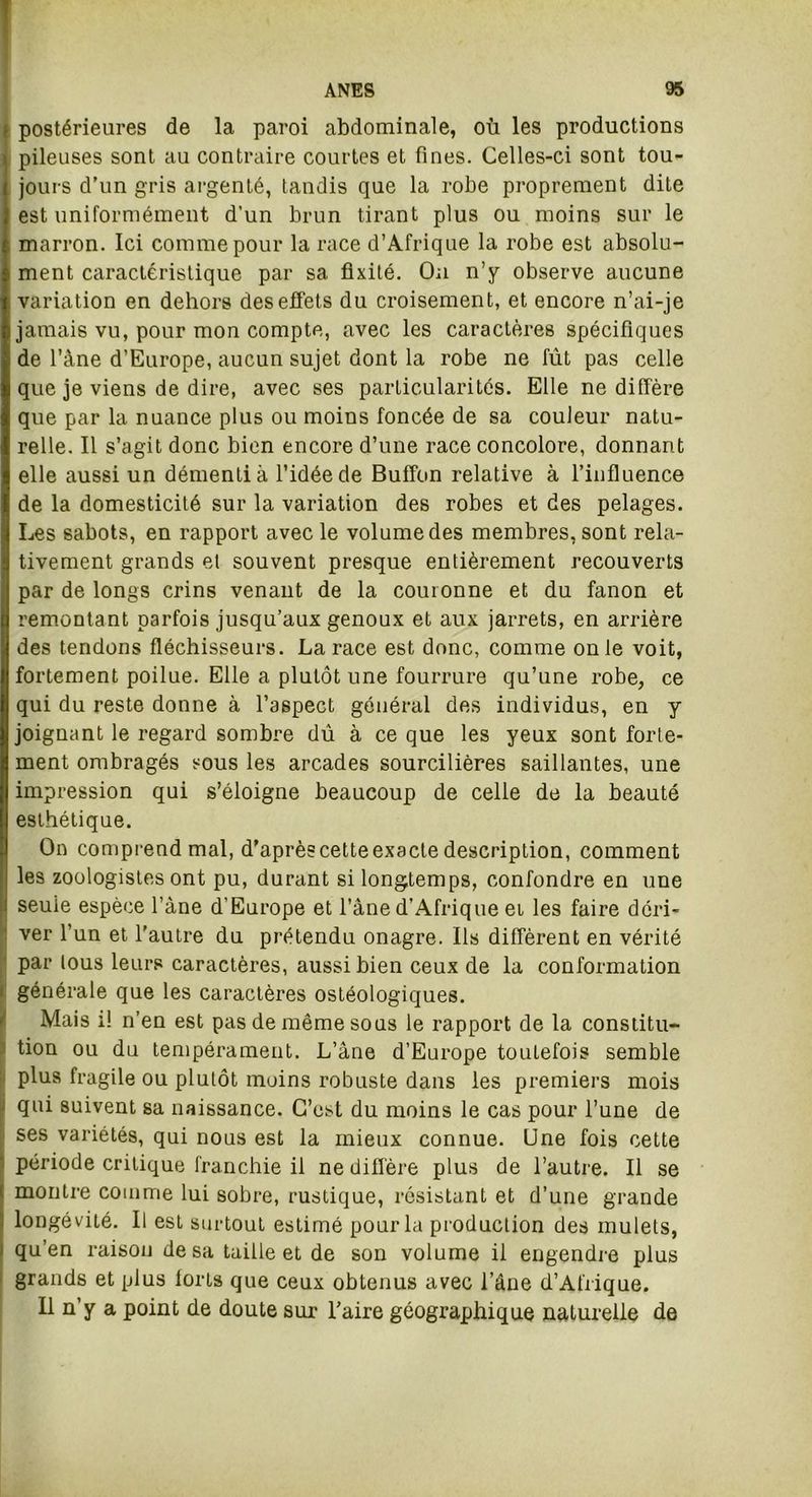 postérieures de la paroi abdominale, où les productions pileuses sont au contraire courtes et fines. Celles-ci sont tou- jours d’un gris argenté, tandis que la robe proprement dite est uniformément d’un brun tirant plus ou moins sur le marron. Ici comme pour la race d’Afrique la robe est absolu- ment caractéristique par sa fixité. On n’y observe aucune variation en dehors des effets du croisement, et encore n’ai-je jamais vu, pour mon compte, avec les caractères spécifiques de l’âne d’Europe, aucun sujet dont la robe ne fût pas celle que je viens de dire, avec ses particularités. Elle ne diffère que par la nuance plus ou moins foncée de sa couleur natu- relle. Il s’agit donc bien encore d’une race concolore, donnant elle aussi un démenti à l’idée de Buffon relative à l’influence de la domesticité sur la variation des robes et des pelages. Les sabots, en rapport avec le volume des membres, sont rela- tivement grands et souvent presque entièrement recouverts par de longs crins venant de la couronne et du fanon et remontant parfois jusqu’aux genoux et aux jarrets, en arrière des tendons fléchisseurs. La race est donc, comme on le voit, fortement poilue. Elle a plutôt une fourrure qu’une robe, ce qui du reste donne à l’aspect général des individus, en y joignant le regard sombre dû à ce que les yeux sont forte- ment ombragés sous les arcades sourcilières saillantes, une impression qui s’éloigne beaucoup de celle de la beauté esthétique. On comprend mal, d'après cette exacte description, comment les zoologistes ont pu, durant si longtemps, confondre en une seule espèce l’âne d’Europe et l’âne d’Afrique et les faire déri- ver l’un et l’autre du prétendu onagre. Ils diffèrent en vérité par tous leurs caractères, aussi bien ceux de la conformation générale que les caractères ostéologiques. Mais i! n’en est pas de même sous le rapport de la constitu- tion ou du tempérament. L’âne d’Europe toutefois semble plus fragile ou plutôt moins robuste dans les premiers mois qui suivent sa naissance. C’est du moins le cas pour l’une de ses variétés, qui nous est la mieux connue. Une fois cette période critique franchie il ne diffère plus de l’autre. Il se montre comme lui sobre, rustique, résistant et d’une grande longévité. Il est surtout estimé pour la production des mulets, qu’en raison de sa taille et de son volume il engendre plus grands et plus forts que ceux obtenus avec l’âne d’Afrique. Il n’y a point de doute sur l’aire géographique naturelle de