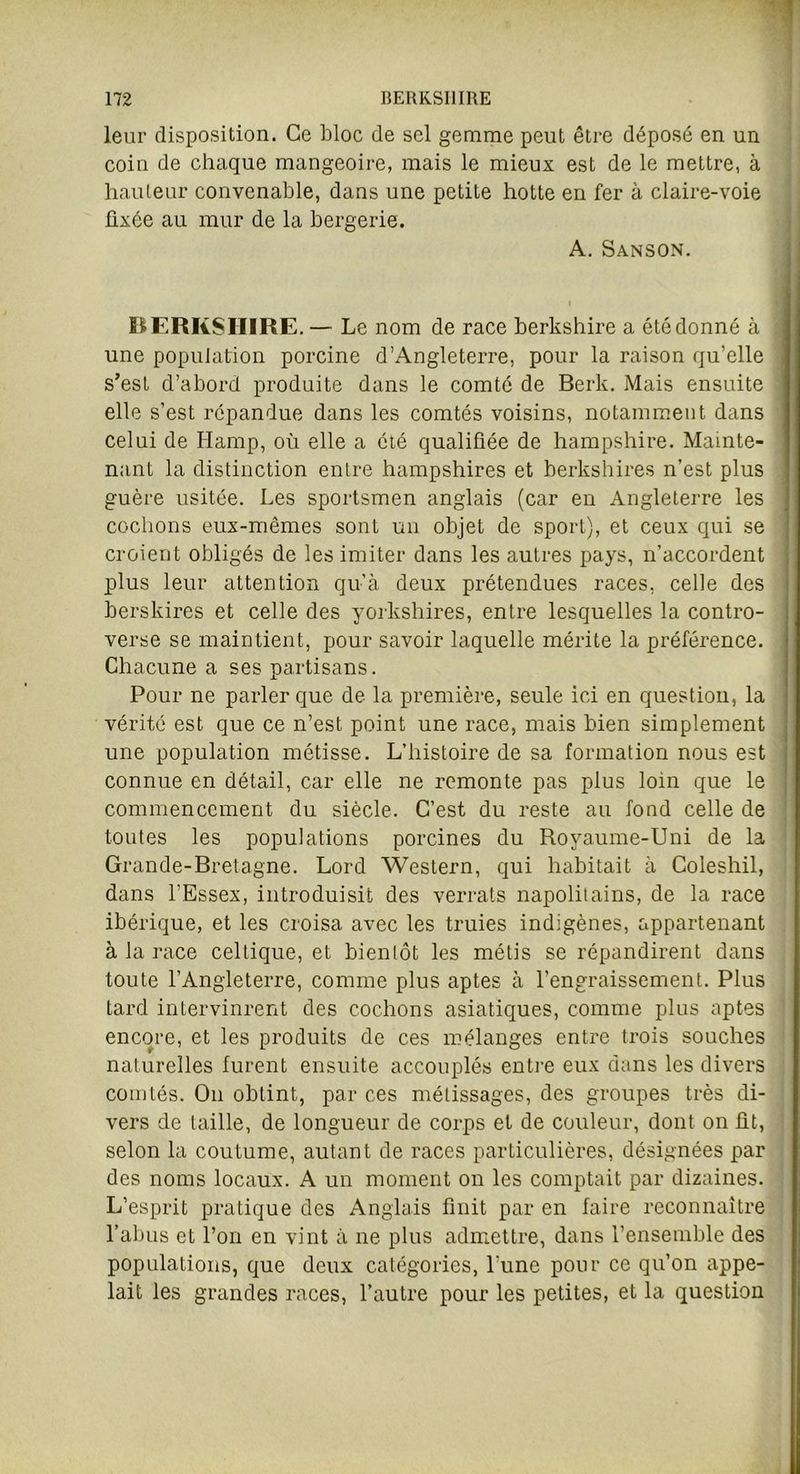 leur disposition. Ce bloc de sel gemme peut être déposé en un coin de chaque mangeoire, mais le mieux est de le mettre, à hauteur convenable, dans une petiLe hotte en fer à claire-voie fixée au mur de la bergerie. A. Sanson. BERKSHIRE. — Le nom de race berkshire a été donné à une population porcine d’Angleterre, pour la raison qu’elle s’est d’abord produite dans le comté de Berk. Mais ensuite elle s’est répandue dans les comtés voisins, notamment dans celui de Hamp, où elle a été qualifiée de hampshire. Mainte- nant la distinction entre hampshires et berkshires n’est plus guère usitée. Les sportsmen anglais (car en Angleterre les cochons eux-mêmes sont un objet de sport), et ceux qui se croient obligés de les imiter dans les autres pays, n’accordent plus leur attention qu’à deux prétendues races, celle des berskires et celle des yorkshires, entre lesquelles la contro- verse se maintient, pour savoir laquelle mérite la préférence. Chacune a ses partisans. Pour ne parler que de la première, seule ici en question, la vérité est que ce n’est point une race, mais bien simplement une population métisse. L’histoire de sa formation nous est connue en détail, car elle ne remonte pas plus loin que le commencement du siècle. C’est du reste au fond celle de toutes les populations porcines du Royaume-Uni de la Grande-Bretagne. Lord Western, qui habitait à Coleshil, dans l’Essex, introduisit des verrats napolitains, de la race ibérique, et les croisa avec les truies indigènes, appartenant à la race celtique, et bientôt les métis se répandirent dans toute l’Angleterre, comme plus aptes à l’engraissement. Plus tard intervinrent des cochons asiatiques, comme plus aptes encore, et les produits de ces mélanges entre trois souches naturelles furent ensuite accouplés entre eux dans les divers comtés. On obtint, par ces métissages, des groupes très di- vers de taille, de longueur de corps et de couleur, dont on fit, selon la coutume, autant de races particulières, désignées par des noms locaux. A un moment on les comptait par dizaines. L’esprit pratique des Anglais finit par en faire reconnaître l’abus et l’on en vint à ne plus admettre, dans l’ensemble des populations, que deux catégories, l'une pour ce qu’on appe- lait les grandes races, l’autre pour les petites, et la question