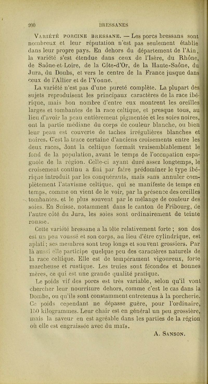 Variété porcine bressane. — Les porcs bressans sont nombreux et leur réputation n'est pas seulement établie dans leur propre pays. En dehors du département de l’Ain, la variété s’est étendue dans ceux de l’Isère, du Rhône, j de Saône-et-Loire, de la Côte-d’Or, de la Haute-Saône, du Jura, du Doubs, et vers le centre de la France jusque dans ceux de l’Ailier et de l'Yonne. La variété n’est pas d’une pureté complète. La plupart des sujets reproduisent les principaux caractères de la race ibé- rique, mais bon nombre d’entre eux montrent les oreilles larges et tombantes de la race celtique, et presque tous, au lieu d’avoir la peau entièrement pigmentée et les soies noires, ont la partie médiane du corps de couleur blanche, ou bien leur peau est couverte de taches irrégulières blanches et noires. C’est la trace certaine d’anciens croisements entre les deux races, dont la celtique formait vraisemblablement le fond de la population, avant le temps de l’occupation espa- gnole de la région. Celle-ci ayant duré assez longtemps, le croisement continu a fini par faire prédominer le type ibé- rique introduit par les conquérants, mais sans annuler com- plètement l’atavisme celtique, qui se manifeste de temps en temps, comme on vient de le voir, par la présence des oreilles tombantes, et le plus souvent par le mélange de couleur des soies. En Suisse, notamment dans le canton de Fribourg, de : l’autre côté du Jura, les soies sont ordinairement de teinte rousse. Cette variété bressane a la tête relativement forte ; son dos est un peu voussé et son corps, au lieu d’être cylindrique, est aplati; ses membres sont trop longs et souvent grossiers. Par là aussi elle participe quelque peu des caractères naturels de la race celtique. Elle est de tempérament vigoureux, forte marcheuse et rustique. Les truies sont fécondes et bonnes mères, ce qui est une grande qualité pratique. Le poids vif des porcs est très variable, selon qu’il vont chercher leur nourriture dehors, comme c’est le cas dans la Dombe, ou qu'ils sont constamment entretenus à la porcherie. Ce poids cependant ne dépasse guère, pour l’ordinaire, 150 kilogrammes. Leur chair est en général un peu grossière, mais la saveur en est agréable dans les parties de la région où elle est engraissée avec du maïs. A. Sanson.