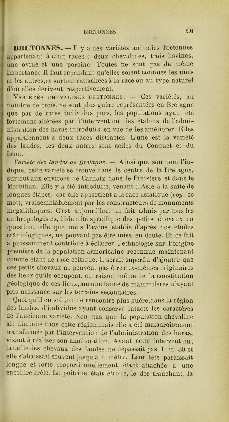 1 i 1 1 BRETONNES. — Il y a des variétés animales bretonnes appartenant à cinq races : deux chevalines, trois bovines, une ovine et une porcine. Toutes ne sont pas de même importance.il faut cependant qu’elles soient connues les unes et les autres,et surtout rattachées à la race ou au type naturel d’où elles dérivent respectivement. Variétés chevalines bretonnes. — Ces variétés, au nombre de trois, ne sont plus guère représentées en Bretagne que par de rares individus purs, les populations ayant été fortement altérées par l’intervention des étalons de l’admi- nistration des haras introduits en vue de les améliorer. Elles appartiennent à deux races distinctes. L’une est la variété des landes, les deux autres sont celles du Conquet et du Léon. Variété des landes de Bretagne. — Ainsi que son nom l’in- dique, cette variété se trouve dans le centre de la Bretagne, surtout aux environs de Carhaix dans le Finistère et dans le Morbihan. Elle y a été introduite, venant d’Asie à la suite de longues étapes, car elle appartient à la race asiatique (voy. ce mot), vraisemblablement par les constructeurs de monuments mégalithiques. C’est aujourd’hui un fait admis par tous les anthropologistes, l’identité spécifique des petits chevaux en question, telle que nous l’avons établie d’après nos études cràniologiques, ne pouvant pas être mise en doute. Et ce fait a puissamment contribué à éclairer l’ethnologie sur l’origine première de la population armoricaine reconnue maintenant comme étant de race celtique. Il serait superflu d’ajouter que ces petits chevaux ne peuvent pas être eux-mêmes originaires des lieux qu’ils occupent, en raison même de la constitution géologique de ces lieux, aucune faune de mammifères n’ayant pris naissance sur les terrains secondaires. Quoi qu’il en soit,on ne rencontre plus guère,dans la région des landes, d’individus ayant conservé intacts les caractères de l’ancienne variété. Non pas que la population chevaline ait diminué dans cette région,mais elle a été maladroitement transformée par l’intervention de l’administration des haras, visant à réaliser son amelioration. Avant cette intervention, la taille des chevaux des landes ne dépassait pas 1 m. 30 et elle s’abaissait souvent jusqu’à 1 mètre. Leur tète paraissait longue et forte proportionnellement, étant attachée à une encolure grêle. La poitrine était étroite, le dos tranchant, la