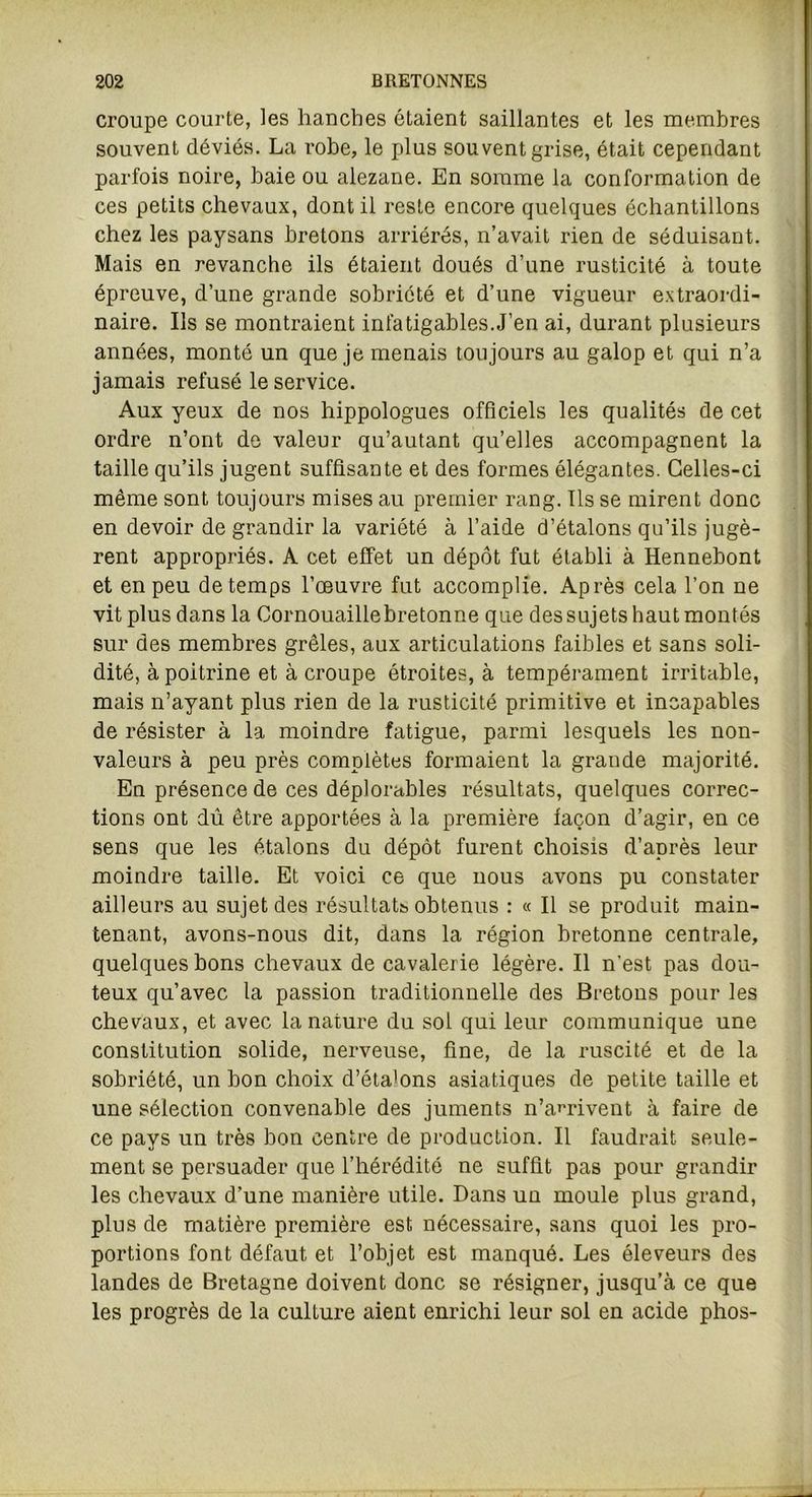 croupe courte, les hanches étaient saillantes et les membres souvent déviés. La robe, le plus souvent grise, était cependant parfois noire, baie ou alezane. En somme la conformation de ces petits chevaux, dont il reste encore quelques échantillons chez les paysans bretons arriérés, n’avait rien de séduisant. Mais en revanche ils étaient doués d’une rusticité à toute épreuve, d’une grande sobriété et d’une vigueur extraordi- naire. Ils se montraient infatigables.J’en ai, durant plusieurs années, monté un que je menais toujours au galop et qui n’a jamais refusé le service. Aux yeux de nos hippologues officiels les qualités de cet ordre n’ont de valeur qu’autant qu’elles accompagnent la taille qu’ils jugent suffisante et des formes élégantes. Celles-ci même sont toujours mises au premier rang. Ils se mirent donc en devoir de grandir la variété à l’aide d’étalons qu’ils jugè- rent appropriés. A cet effet un dépôt fut établi à Hennebont et en peu de temps l’oeuvre fut accomplie. Après cela l’on ne vit plus dans la Cornouaillebretonne que des sujets haut montés sur des membres grêles, aux articulations faibles et sans soli- dité, à poitrine et à croupe étroites, à tempérament irritable, mais n’ayant plus rien de la rusticité primitive et incapables de résister à la moindre fatigue, parmi lesquels les non- valeurs à peu près complètes formaient la grande majorité. En présence de ces déplorables résultats, quelques correc- tions ont dû être apportées à la première façon d’agir, en ce sens que les étalons du dépôt furent choisis d’après leur moindre taille. Et voici ce que nous avons pu constater ailleurs au sujet des résultats, obtenus : « Il se produit main- tenant, avons-nous dit, dans la région bretonne centrale, quelques bons chevaux de cavalerie légère. Il n’est pas dou- teux qu’avec la passion traditionnelle des Bretons pour les chevaux, et avec la nature du sol qui leur communique une constitution solide, nerveuse, fine, de la ruscité et de la sobriété, un bon choix d’éta'ons asiatiques de petite taille et une sélection convenable des juments n’amvent à faire de ce pays un très bon centre de production. Il faudrait seule- ment se persuader que l’hérédité ne suffit pas pour grandir les chevaux d’une manière utile. Dans un moule plus grand, plus de matière première est nécessaire, sans quoi les pro- portions font défaut et l’objet est manqué. Les éleveurs des landes de Bretagne doivent donc se résigner, jusqu’à ce que les progrès de la culture aient enrichi leur sol en acide phos-