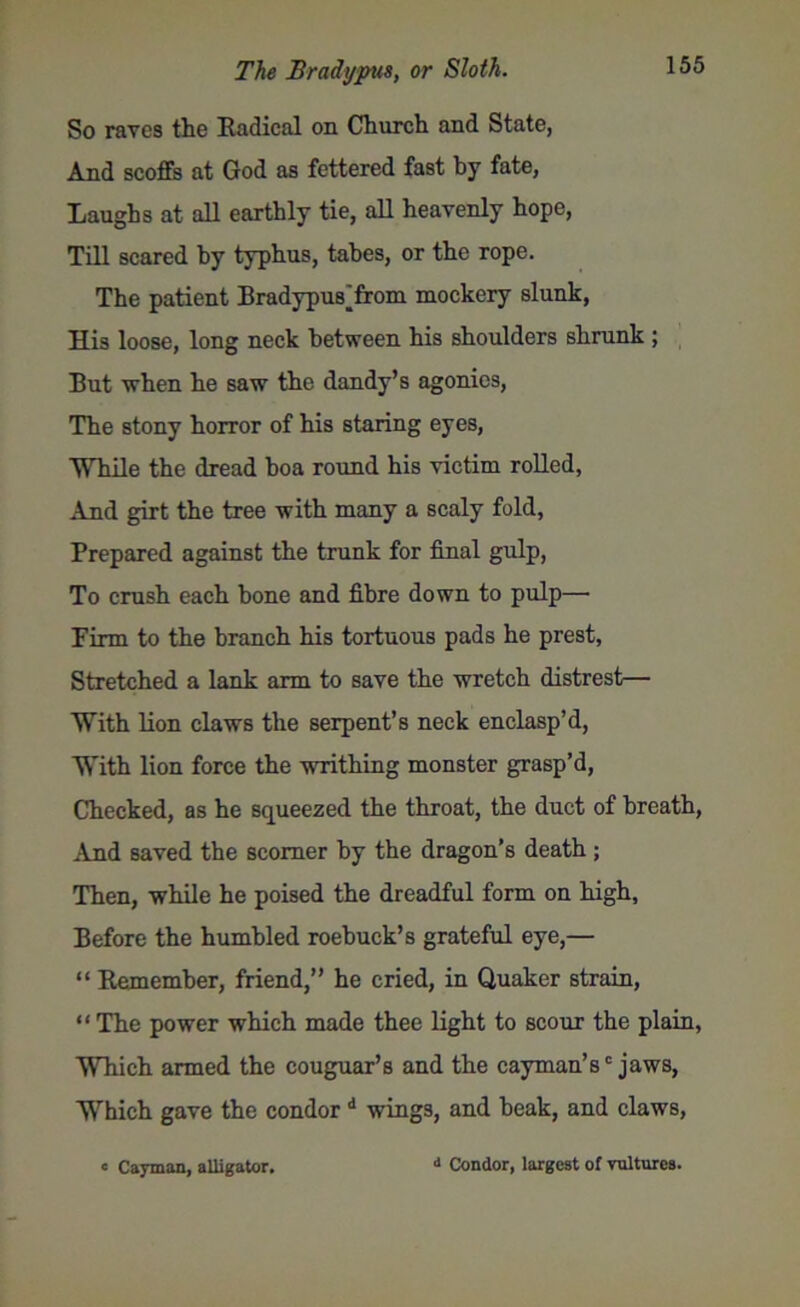 So raves the Radical on Church and State, And scoffs at God as fettered fast by fate, Raughs at all earthly tie, all heavenly hope, Till scared by typhus, tabes, or the rope. The patient Bradypusjfrom mockery slunk, His loose, long neck between his shoulders shrunk ; But when he saw the dandy’s agonies, The stony horror of his staring eyes, While the dread boa round his victim rolled, And girt the tree with many a scaly fold, Prepared against the trunk for final gulp, To crush each bone and fibre down to pulp—• Firm to the branch his tortuous pads he prest, Stretched a lank arm to save the wretch distrest— With lion claws the serpent’s neck enclasp’d, With lion force the writhing monster grasp’d, Checked, as he squeezed the throat, the duct of breath, And saved the scomer by the dragon’s death ; Then, while he poised the dreadful form on high. Before the humbled roebuck’s grateful eye,— “ Remember, friend,” he cried, in Quaker strain, “ The power which made thee light to scour the plain, Which armed the couguar’s and the cayman’sc jaws, Which gave the condor d wings, and beak, and claws, « Cayman, alligator. J Condor, largest of vultures.