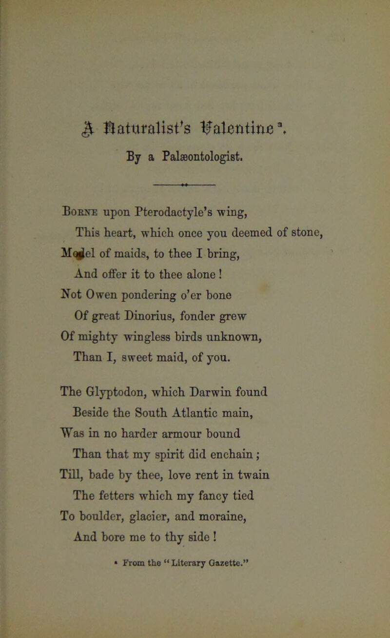 $. naturalist's tfaluntinu3. By a Palaeontologist. Boeke upon Pterodactyle’s wing, This heart, which once you deemed of stone, Mq^el of maids, to thee I bring, And offer it to thee alone ! Not Owen pondering o’er bone Of great Dinorius, fonder grew Of mighty wingless birds unknown, Than I, sweet maid, of you. The Glyptodon, which Darwin found Beside the South Atlantic main, Was in no harder armour bound Than that my spirit did enchain; Till, hade by thee, love rent in twain The fetters which my fancy tied To boulder, glacier, and moraine, And bore me to thy side ! * From the “ Literary Gazette.”