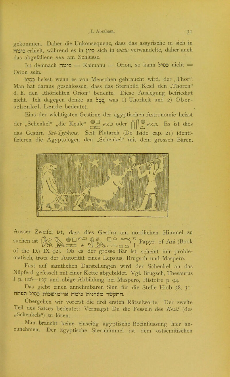 gekommen. Daher die Unkonsequenz, dass das assyrische m sich in rwo erhielt, während es in sich in waw verwandelte, daher auch das abgefallene nun am Schlüsse. Ist demnach = Kaimanu = Orion, so kann b-'DD nicht = Orion sein. b^OD heisst, wenn es von Menschen gebraucht wird, der „Thor“. Man hat daraus geschlossen, dass das Sternbild Kesil den „Thoren“ d. h. den „thörichten Orion bedeute. Diese Auslegung befriedigt nicht. Ich dagegen denke an bop, was 1) Thorheit und 2) Ober- schenkel, Lende bedeutet. Eins der wichtigsten Gestirne der ägyptischen Astronomie heisst der „Schenkel“ „die Keule“ oder Ö ^ ® «^£3. Es ist dies L \Y- J I I CS das Gestirn Set-Typhons. Seit Plutarch (De Iside cap. 21) identi- fizieren die Ägyptologen den „Schenkel“ mit dem grossen Bären. Ausser Zweifel ist, dass dies Gestirn am nördlichen Himmel zu suchen ist [ 31 ~k ^ Q ^ Papyr. of Ani (Book 1 o o of the D.) IX 92]. Ob es der grosse Bär ist, scheint mir proble- matisch, trotz der Autorität eines Lepsius, Brugsch und Maspero. Fast auf sämtlichen Darstellungen wird der Schenkel an das Nilpferd gefesselt mit einer Kette abgebildet. Vgl. Brugsch, Thesaurus I p. 126—127 un<3 obige Abbildung bei Maspero, Histoire p. 94. Das giebt einen annehmbaren Sinn für die Stelle Pliob 38, 31: nnsn b->co nioimtt-i« nfc'o Übergehen wir vorerst die drei ersten Rätselworte. Der zweite Teil des Satzes bedeutet: Vermagst Du die Fesseln des Kesil (des „Schenkels“) zu lösen. Man braucht keine einseitig ägyptische Beeinflussung hier an- zunehmen. Der ägyptische Sternhimmel ist dem ostsemitischen