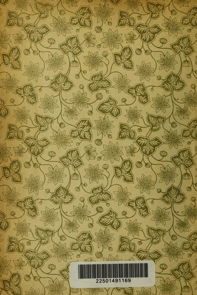 digitised image 2