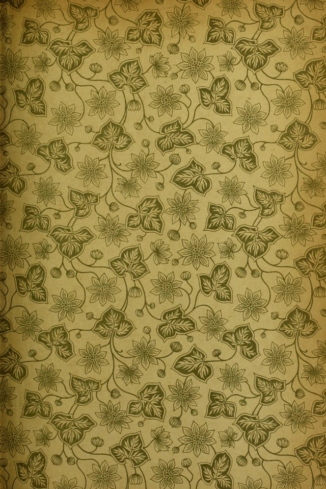 digitised image 3