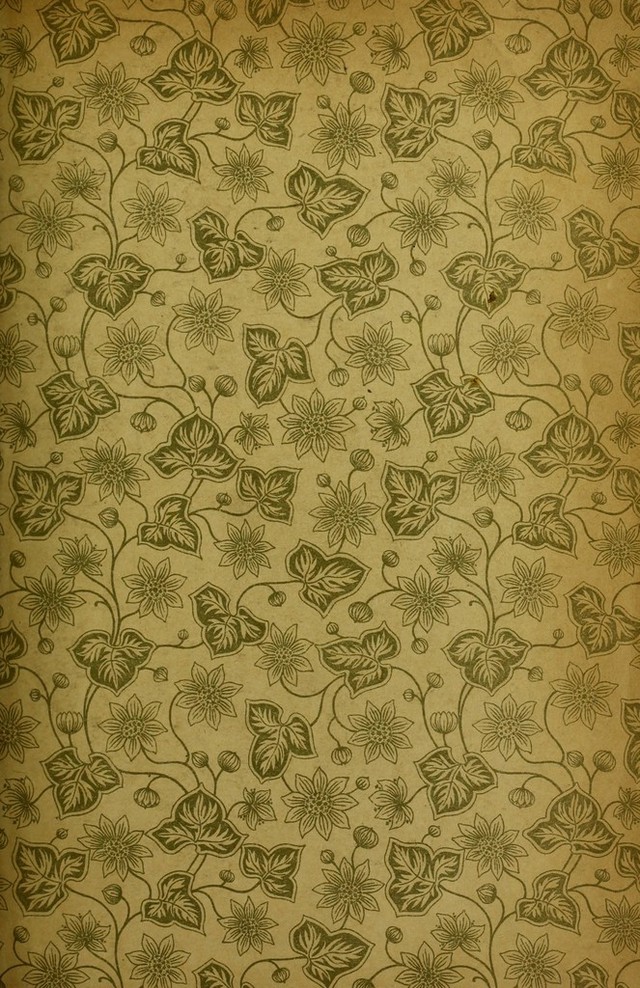 digitised image 3