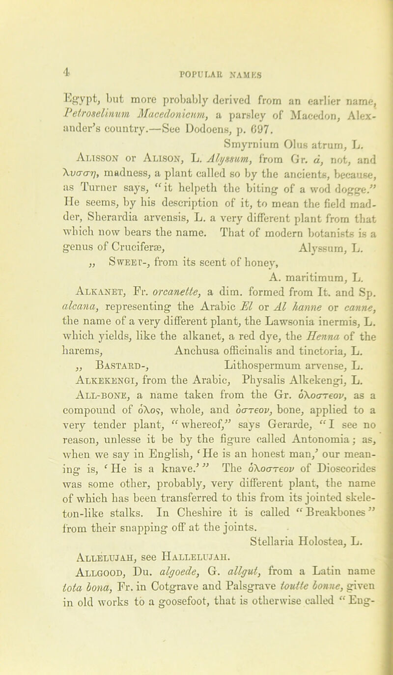 I'ig’ypt, but more probably derived from an earlier name, Petroselinum Macedonicum, a parsley of Macedon, Alex- ander’s country.—See Dodoens, p. 097. Smyrnium Olus atrum, L. Alisson or Alison, L. Al/yn&um, from Gr. d, not, and Xvaaij, madness, a plant called so by the ancients, because, as Turner says, “ it helpeth the biting of a wod dogge.” He seems, by his description of it, to mean the field mad- der, Sherardia arvensis, L. a very different plant from that which now bears the name. That of modern botanists is a genus of Crucifer*, Alyssum, L. „ Sweet-, from its scent of honey, A. maritimum, L. Alkanet, Fr. orcanette, a dim. formed from It. and Sp. alcana, representing the Arabic El or Al hanne or canne, the name of a very different plant, the Lawsonia inermis, L. which yields, like the alkanet, a red dye, the Henna of the harems, Anchusa officinalis and tinctoria, L. ,, Bastard-, Lithospermum arvense, L. Alkekengi, from the Arabic, Physalis Alkekengi, L. All-bone, a name taken from the Gr. okoareov, as a compound of 0X09, whole, and oareov, bone, applied to a very tender plant, “ whereof,” says Gerarde, “ I see no reason, unlesse it be by the figure called Antonomia; as, when we say in English, * He is an honest man/ our mean- ing is, ‘ He is a knave.’ ” The oXoareov of Dioscorides was some other, probably, very different plant, the name of which has been transferred to this from its jointed skele- ton-like stalks. In Cheshire it is called “ Breakbones ” from their snapping off at the joints. Stellaria Holostea, L. Allelujah, see Hallelujah. Allgood, Du. algoede, G. allgut, from a Latin name lota bona, Fr. in Cotgrave and Palsgrave loulle bonne, given in old works to a goosefoot, that is otherwise called “Eng-