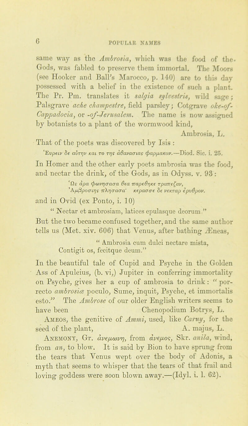 G same way as the Ambrosia, which was the food of the. Gods, was fabled to preserve them immortal. The Moors (see Hooker and Ball's Marocco, p. 140) are to this day possessed with a belief in the existence of such a plant. The Pr. Pm. translates it salgia sylveslris, wild sage; Palsgrave ache cliampe&tre, field parsley; Cotgrave olce-of- Cappadocia, or -of-Jerusulem. The name is now assigned by botanists to a plant of the wormwood kind, Ambrosia, L. That of the poets was discovered by Isis : 'Evpeiv Se avrrjv icai to rrjs aQavacnas (f>appaKov.—Diod. Sic. i. 25. In Homer and the other early poets ambrosia was the food, and nectar the drink, of the Gods, as in Odyss. v. 93: 'fls apa rpoivrjaaaa Sea TrapedrjKe rpane^av, ’Kpfipoair)!; TrXrjcraiTa' Repair a c Se veKTap epvBpov. and in Ovid (ex Ponto, i. 10) “ Nectar et ambrosiam, latices epulasque deorum.” But the two became confused together, and the same author tells us (Met. xiv. 606) that Yenus, after bathing iEneas, “ Ambrosia cum dulci nectare mista, Contigit os, fecitque deum.” In the beautiful tale of Cupid and Psyche in the Golden Ass of Apuleius, (b. vi,) J up iter in conferring immortality on Psyche, gives her a cup of ambrosia to drink: “ por- recto ambrosia poculo, Sume, inquit. Psyche, et immortalis esto.” The Ambrose of our older English writers seems to have been Chenopodium Botrys, L. Ameos, the genitive of Ammi, used, like Caruy, for the seed of the plant, A. majus, L. Anemony, Gr. dvepoovrj, from avepos, Skr. anila, wind, from an, to blow. It is said by Bion to have sprung from the tears that Venus wept over the body of Adonis, a myth that seems to whisper that the tears of that frail and loving goddess were soon blown away.—(Idyl. i. 1. 62).