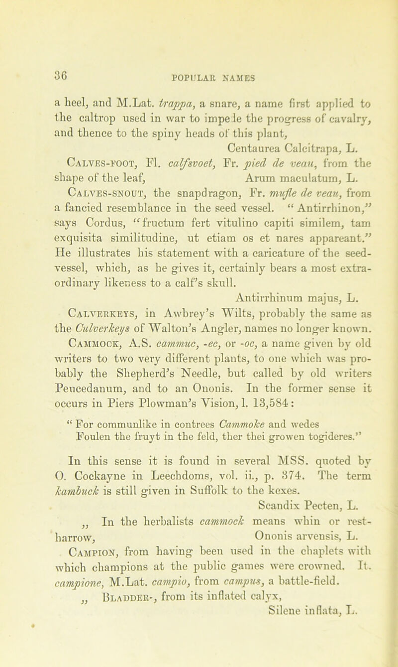 a heel, and M.Lat. irappa, a snare, a name first applied to the caltrop used in war to impede the progress of cavalry, and thence to the spiny heads of this plant, Centaurea Calcitrapa, L. Calves-foot, FI. calfsvoet, Fr. pied de veau, from the shape of the leaf. Arum maculatum, L. Calves-snout, the snapdragon, Fr. mufle de veau, from a fancied resemblance in the seed vessel. “ Antirrhinon,” says Cordus, “ f'ruetum fert vitulino capiti similem, tarn exquisita similitudine, ut etiam os et nares appareant.” He illustrates his statement with a caricature of the seed- vessel, which, as he gives it, certainly bears a most extra- ordinary likeness to a calf’s skull. Antirrhinum majus, L. Calverkeys, in Awbrey’s Wilts, probably the same as the Culverkeys of Walton’s Angler, names no longer known. Cammock:, A.S. cammuc, -ec, or -oc, a name given by old writers to two very different plants, to one which was pro- bably the Shepherd’s Needle, but called by old writers Peucedanum, and to an Ononis. In the former sense it occurs in Piers Plowman’s Vision, 1. 13,584: “ For communlike in contrees Cammoke and wedes Foulen the fruyt in the feld, ther thei growen togideres.” In this sense it is found in several MSS. quoted by 0. Cockayne in Leechdoms, vol. ii., p. 374. The term kambuck is still given in Suffolk to the kexes. Scandix Pecten, L. ,, In the herbalists cammock means whin or rest- harrow, Ononis arvensis, L. Campion, from having been used in the chaplets with which champions at the public games were crowned. It. campione, M.Lat. campio, from campus, a battle-field. „ Bladder-, from its inflated calyx, Silene inflata, L.