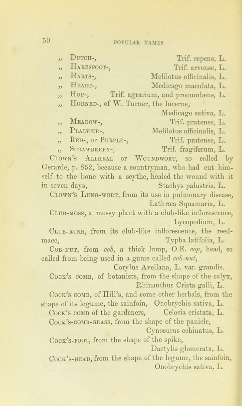 33 Dutch-, Trif. repens, L. 33 Haresfoot-, Trif. arvense, L. 33 Harts-, Melilotus officinalis, L. 33 Heart-, Medicago maculata, L. 33 Hop-, Trif. agrarium, and procumbens, L. 33 Horned-, of W. Turner, the lucerne, Medicago sativa, L. 33 Meadow-, Trif. pratense, L. 33 Plaister-, Melilotus officinalis, L. 33 Red-, or Purple-, Trif. pratense, L. 33 Strawberry-, Trif. fragiferum, L. Clown's Allheal or Woundwort, so called by Gerarde, p. 852, because a countryman, who had cut him- self to the bone with a scythe, healed the wound with it in seven days, Stachys palustris, L. Clown's Lung-wort, from its use in pulmonary disease, Lathraea Squamaria, L. Club-moss, a mossy plant with a club-like inflorescence, Lycopodium, L. Club-rush, from its club-like inflorescence, the reed- mace, Typha latifolia, L. Cob-nut, from cob, a thick lump, O.E. cop, head, so called from being used in a game called cob-nut, Corylus Avellana, L. var. grandis. Cock's comb, of botanists, from the shape of the calyx, Rliinanthus Crista galli, L. Cock's comb, of Hill’s, and some other herbals, from the shape of its legume, the sainfoin, Onobrvchis sativa, L. Cock's comb of the gardeners, Celosia cristata, L. Cock's-comb-grass, from the shape of the panicle, Cynosurus echinatus, L. Cock's-poot, from the shape of the spike, Daetylis glomerata, L. Cock’s-head, from the shape of the legume, the sainfoin, Onobrychis sativa, L.