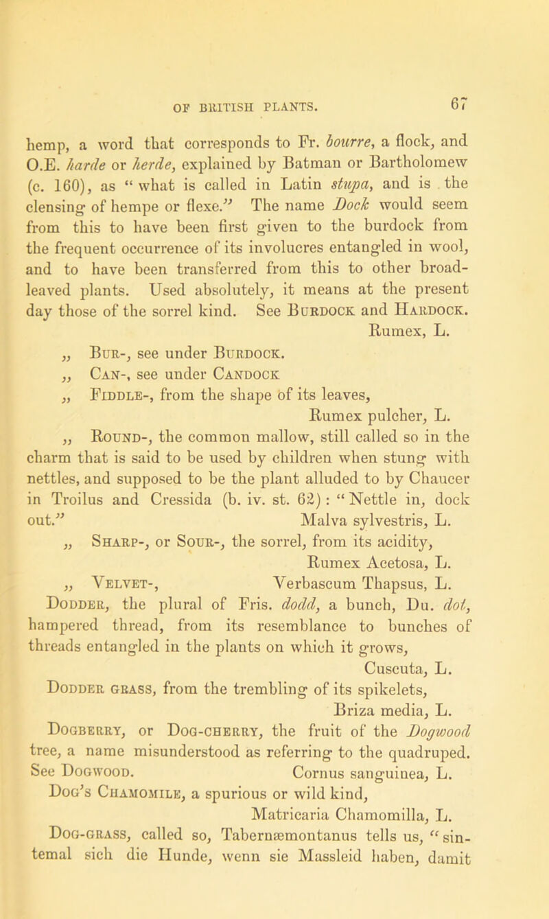 hemp, a word that corresponds to Fr. bourre, a flock, and O.E. harde or herde, explained by Batman or Bartholomew (c. 160), as “what is called in Latin stupa, and is the clensing of hempe or flexe.” The name Dock would seem from this to have been first given to the burdock from the frequent occurrence of its involucres entangled in wool, and to have been transferred from this to other broad- leaved plants. Used absolutely, it means at the present day those of the sorrel kind. See Burdock and Hardock. Bumex, L. ,, Bur-, see under Burdock. „ Can-, see under Candock „ Fiddle-, from the shape of its leaves, Rumex pulcher, L. ,, Round-, the common mallow, still called so in the charm that is said to be used by children when stung with nettles, and supposed to be the plant alluded to by Chaucer in Troilus and Cressida (b. iv. st. 62) : “ Nettle in, dock out/'’ Malva sylvestris, L. „ Sharp-, or Sour-, the sorrel, from its acidity, Rumex Acetosa, L. „ Velvet-, Verbascum Thapsus, L. Dodder, the plural of Fris. dod(l, a bunch, Du. dot, hampered thread, from its resemblance to bunches of threads entangled in the plants on which it grows, Cuscuta, L. Dodder grass, from the trembling of its spikelets, Briza media, L. Dogberry, or Dog-cherry, the fruit of the Dogwood tree, a name misunderstood as referring to the quadruped. See Dogwood. Cornus sanguinea, L. Dog’s Chamomile, a spurious or wild kind, Matricaria Chamomilla, L. Dog-grass, called so, Tabernsemontanus tells us, “ sin- temal sich die IIunde, wenn sie Massleid haben, damit