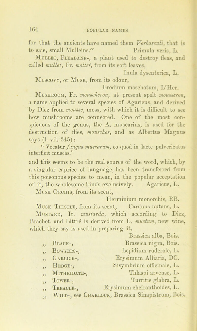 for that the ancients have named them Veriasculi, that is to saie, small Mulleins.” Primula veris, L. Mullet, Fleabane-, a plant used to destroy fleas, and called mullet, Fr. mollet, from its soft leaves, Inula dysenterica, L. Muscovy, or Musk, from its odour, Erodium moschatum, L'Her. Mushroom, Fr. mouscheron, at present spelt mousseron, a name applied to several species of Agaricus, and derived by Diez from mousse, moss, with which it is difficult to see how mushrooms are connected. One of the most con- spicuous of the genus, the A. muscarius, is used for the destruction of flies, mousches, and as Albertus Magnus says (1. vii. 34-5) : “ Vocatur/imyws musrarum, eo quod in laete pulverizatus interficit muscas.” and this seems to be the real source of the word, which, by a singular caprice of language, has been transferred from this poisonous species to mean, in the popular acceptation of it, the wholesome kinds exclusively. Agaricus, L. Musk Orchis, from its scent, Herminium monorcliis, RB. Musk Thistle, from its scent, Carduus nutans, L. Mustard, It. mustarda, which according to Diez, Bracliet, and Littre is derived from L. mustum, new wine, which they say is used in preparing it, Brassica alba, Bois. ,, Black-, Brassica nigra, Bois. ,, Bowyers-, Lepidium ruderale, L. „ Garlick-, Erysimum Alliaria, DC. ,, Hedge-, Sisymbrium officinale, L. ,, Mithridate-, Thlaspi arvense, L. „ Tower-, Turritis glabra, L. „ Treacle-, Erysimum cbeiranthoides, L. _,, Wild-, see Charlock, Brassica Sinapistrum, Bois.