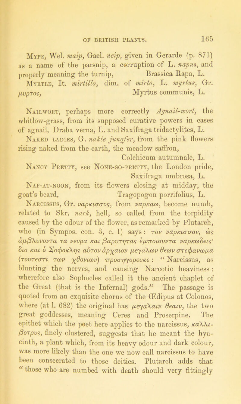 Myfe, Wei. tnaip, Gael, neip, given in Gerarde (p. S71) as a name of the parsnip, a corruption of L. napus, and properly meaning the turnip, Brassica Rapa, L. Myrtle, It. mirtillo, dim. of mirto, L. myrtus, Gr. /AvpToSj Myrtus communis, L. Nail wort, perhaps more correctly Agnail-wort, the whitlow-grass, from its supposed curative powers in cases of agnail, Draba verna, L. and Saxifraga tridactylites, L. Naked ladies, G. nakte jungfer, from the pink flowers rising naked from the earth, the meadow saffron, Colchicum autumnale, L. Nancy Pretty, see None-so-pretty, the London pride, Saxifraga umbrosa, L. Nap-at-noon, from its flowers closing at midday, the goat’s beard, Tragopogon porrifolius, L. Narcissus, Gr. vapKtcrao^, from vapicaco, become numb, related to Skr. nark, hell, so called from the torpidity caused by the odour of the flower, as remarked by Plutarch, who (in Sympos. con. 3, c. 1) says: tov vapiaaaov, w? ag^kwovra ra vevpa Kai /3apvT7)Ta$ egrroiowra vap/co&etv Sio Kcu 6 HocpOKXi7? avrov apyaiov geyakcov 9ea>v frrecjxivwga (tovreari tcov ^doviav) TTpoapyopev/ce: “ Narcissus, as blunting the nerves, and causing Narcotic heaviness : wherefore also Sophocles called it the ancient chaplet of the Great (that is the Infernal) gods.” The passage is quoted from an exquisite chorus of the OEdipus at Colonos, where (at 1. 682) the original has geyakacv deaiv, the two great goddesses, meaning Ceres and Proserpine. The epithet which the poet here applies to the narcissus, naXki- fSorpw;, finely clustered, suggests that he meant the hya- cinth, a plant which, from its heavy odour and dark colour, was more likely than the one we now call narcissus to have beeu consecrated to those deities. Plutarch adds that “ those who are numbed with death should very fittingly