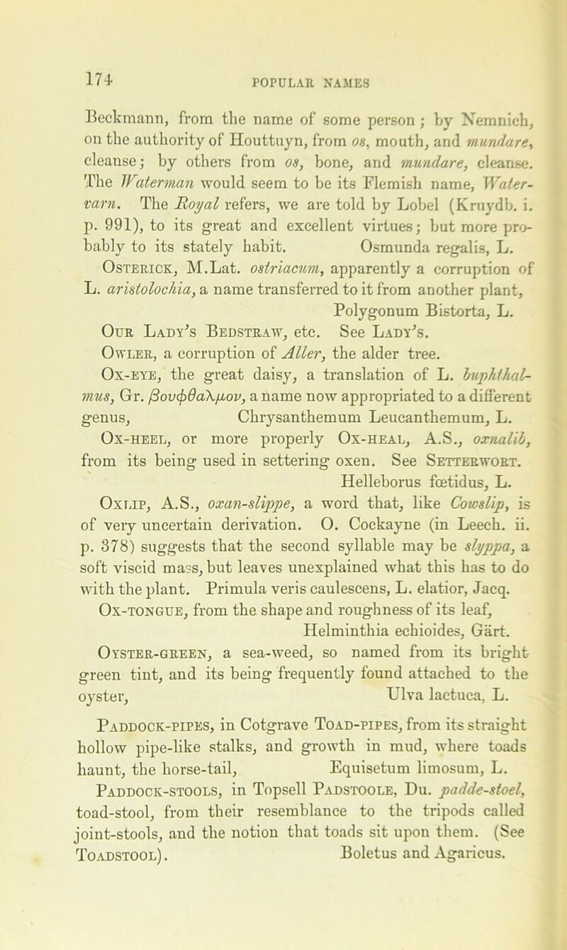 Beckmann, from the name of some person; by Nemnich, on the authority of Houttuyn, from os, mouth, and mundare, cleanse; by others from os, bone, and mundare, cleanse. The Waterman would seem to be its Flemish name, Water- ram. The Royal refers, we are told by Lobel (Kruydb. i. p. 991), to its great and excellent virtues; but more pro- bably to its stately habit. Osmunda regalis, L. Osterick, M.Lat. osiriacum, apparently a corruption of L. aristolochia, a name transferred to it from another plant. Polygonum Bistorta, L. Our Lady's Bedstraw, etc. See Lady's. Owler, a corruption of Alter, the alder tree. Ox-eye, the great daisy, a translation of L. buphthal- mus, Gr. /3ov$9a\pov, a name now appropriated to a different genus, Chrysanthemum Leucanthemum, L. Ox-heel, or more properly Ox-heal, A.S., oxnalib, from its being used in settering oxen. See Setterwort. Helleborus foetidus, L. Oxlip, A.S., oxan-slippe, a word that, like Cowslip, is of very uncertain derivation. O. Cockayne (in Leech, ii. p. 378) suggests that the second syllable may be slyppa, a soft viscid mass, but leaves unexplained what this has to do with the plant. Primula veris caulescens, L. elatior, Jacq. Ox-tongue, from the shape and roughness of its leaf, Helminthia echioides, Gart. Oyster-green, a sea-weed, so named from its bright green tint, and its being frequently found attached to the oyster, Ulva lactuca, L. Paddock-pipes, in Cotgrave Toad-pipes, from its straight hollow pipe-like stalks, and growth in mud, where toads haunt, the horse-tail, Equisetum limosum, L. Paddock-stools, in Topsell Padstoole, Du. padde-stoel, toad-stool, from their resemblance to the tripods called joint-stools, and the notion that toads sit upon them. (See Toadstool). Boletus and Agaricus.