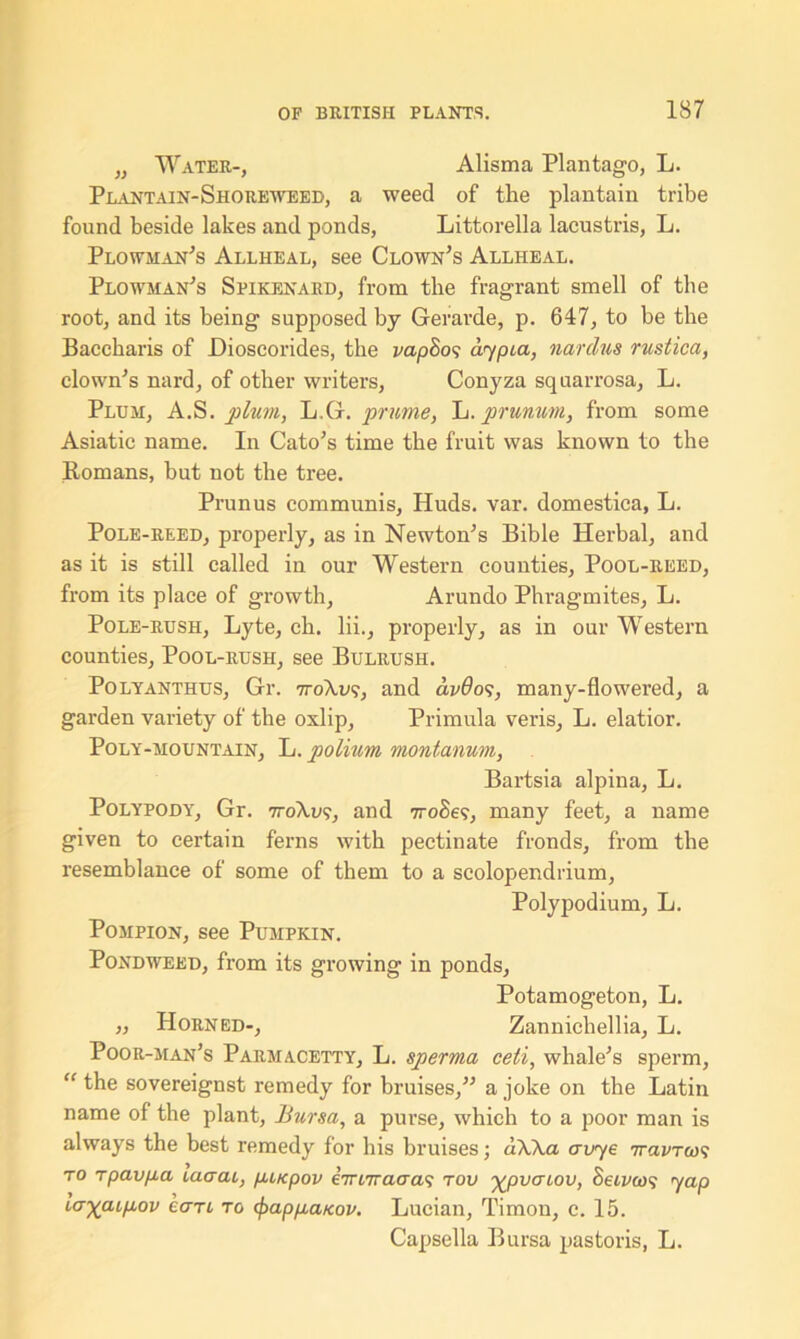 ,, Water-, Alisma Plantago, L. Plantain-Shoreweed, a weed of the plantain tribe found beside lakes and ponds, Littorella lacustris, L. Plowman's Allheal, see Clown’s Allheal. Plowman’s Spikenard, from the fragrant smell of the root, and its being supposed by Geravde, p. 647, to be the Baccharis of Dioscorides, the mpSo? aypia, nardus rustica, clown’s nard, of other writers, Conyza squarrosa, L. Plum, A.S. plum, L,G. prime, L. prunum, from some Asiatic name. In Cato’s time the fruit was known to the Romans, but not the tree. Prunus communis, Huds. var. domestica, L. Pole-reed, properly, as in Newton’s Bible Herbal, and as it is still called in our Western counties. Pool-reed, from its place of growth, Arundo Phragmites, L. Pole-rush, Lyte, cb. lii., properly, as in our Western counties. Pool-rush, see Bulrush. Polyanthus, Gr. 77-0X09, and dvdos, many-flowered, a garden variety of the oxlip, Primula veris, L. elatior. Poly-mountain, L. polium montanum, Bartsia alpina, L. Polypody, Gr. 77-0X09, and 7roSe?, many feet, a name given to certain ferns with pectinate fronds, from the resemblance of some of them to a scolopendrium, Polypodium, L. Pompion, see Pumpkin. Pondweed, from its growing in ponds, Potamogeton, L. „ Horned-, Zannichellia, L. Poor-man’s Parmacetty, L. sperma cell, whale’s sperm, “ the sovereignst remedy for bruises,” a joke on the Latin name of the plant, Bursa, a purse, which to a poor man is always the best remedy for his bruises; dXka avye 7ravTco<s to rpav/xa icicrai, p,ucpov iiwraaas tov xpvcnov, Beivcos yap uj^aip-ov ean to <f>app,a/cov. Lucian, Timou, c. 15. Capsella Bursa pastoris, L.