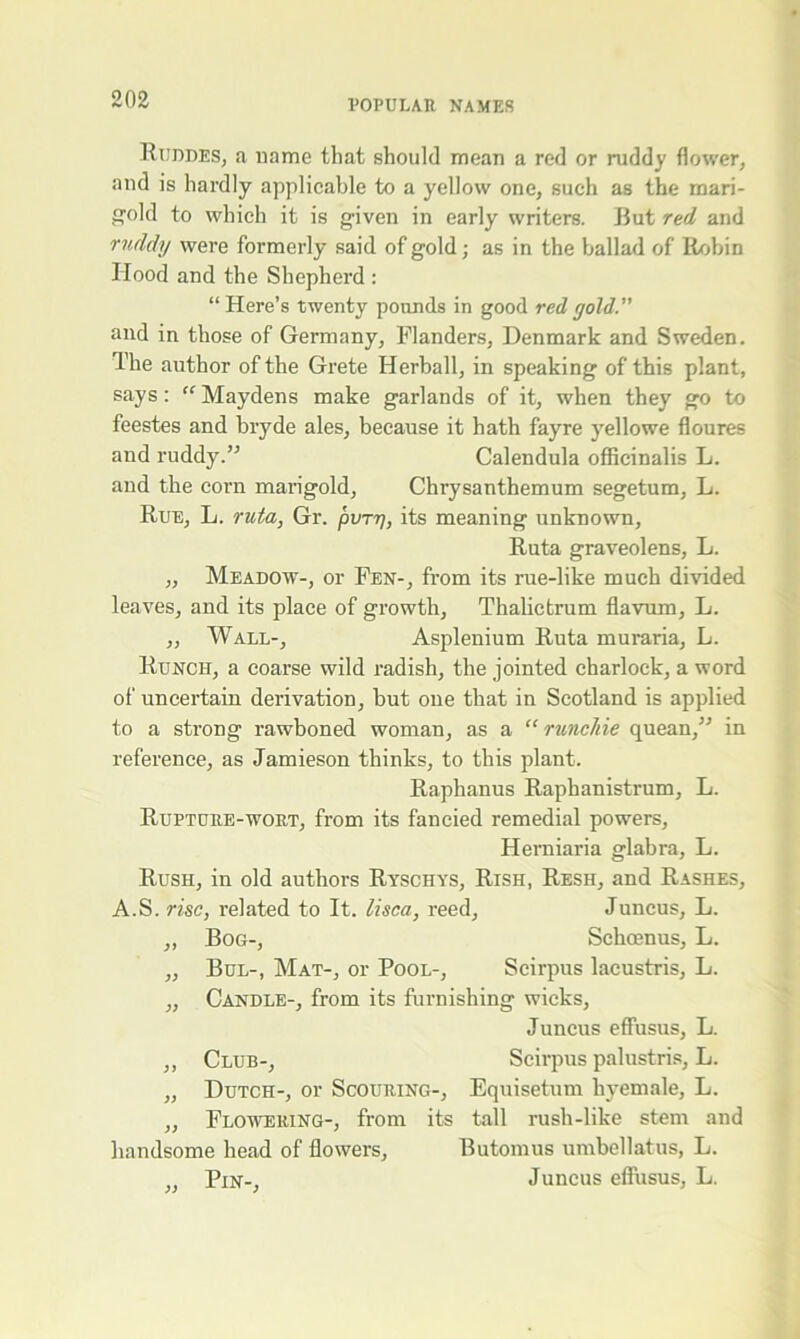 Ruddes, a name that should mean a red or ruddy flower, and is hardly applicable to a yellow one, such as the mari- gold to which it is given in early writers. But red and ruddy were formerly said of gold; as in the ballad of Robin Hood and the Shepherd : “ Here’s twenty pounds in good red gold.” and in those of Germany, Flanders, Denmark and Sweden. The author of the Grete Herball, in speaking of this plant, says: “ Maydens make garlands of it, when they go to feestes and bryde ales, because it hath fayre yellowe floures and ruddy.” Calendula officinalis L. and the corn marigold, Chrysanthemum segetum, L. Rue, L. ruta, Gr. pvrri, its meaning unknown, Ruta graveolens, L. „ Meadow-, or Fen-, from its rue-like much divided leaves, and its place of growth, Thalictrum flavum, L. ,, Wall-, Asplenium Ruta muraria, L. Runch, a coarse wild radish, the jointed charlock, a word of uncertain derivation, but one that in Scotland is applied to a strong rawboned woman, as a “ runchie quean,” in reference, as Jamieson thinks, to this plant. Raphanus Raphanistrum, L. Rupture-wort, from its fancied remedial powers, Herniaria glabra, L. Rush, in old authors Ryschys, Rish, Resh, and Rashes, A.S. rise, related to It. lisca, reed, Juncus, L. „ Bog-, Schoenus, L. „ Bul-, Mat-, or Pool-, Scirpus lacustris, L. „ Candle-, from its furnishing wicks, Juncus eflusus, L. ,, Club-, Scirpus palustris, L. „ Dutch-, or Scouring-, Equisetum hyemale, L. „ Flowering-, from its tall rush-like stem and handsome head of flowers, Butomus umbellatus, L. ,, Pin-, Juncus eflusus, L.