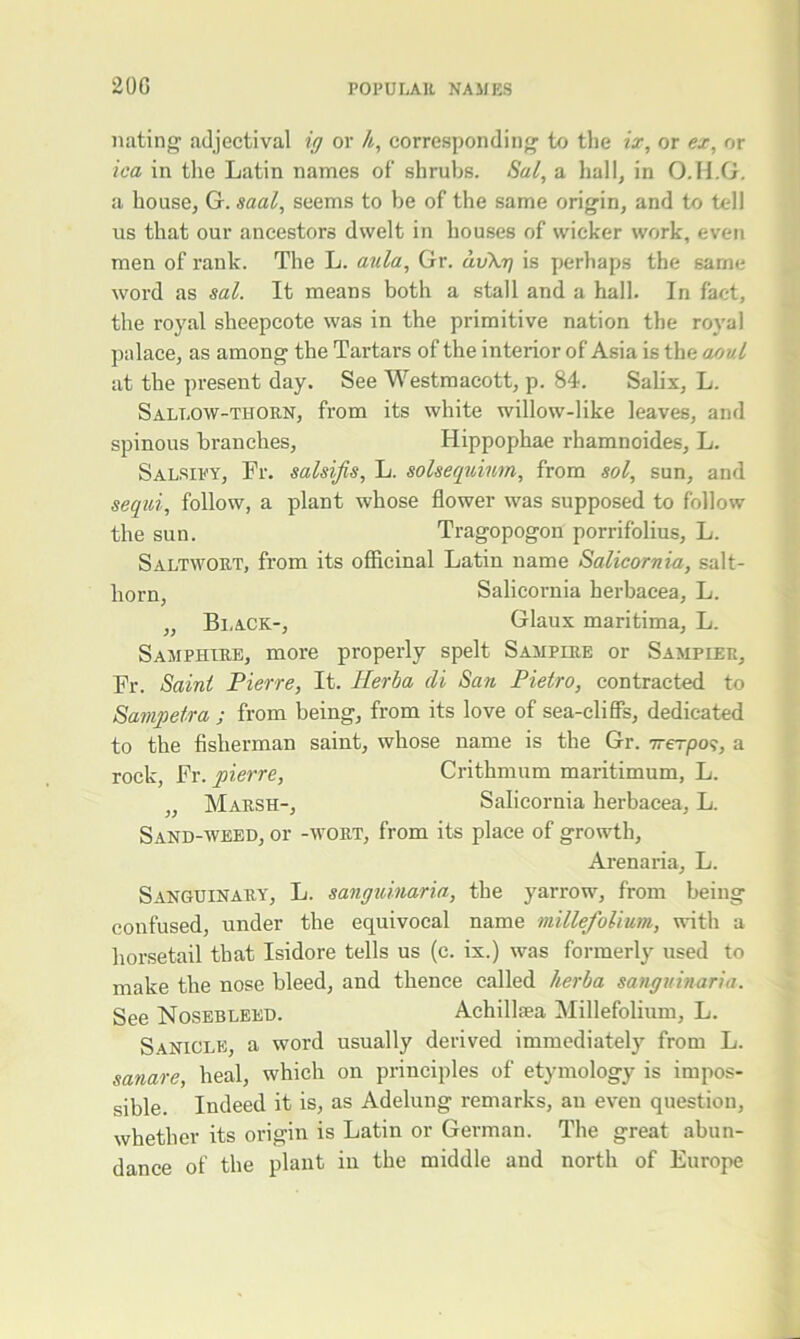 nating adjectival ig or h, corresponding to the ix, or ex, or ica in the Latin names of’ shrubs. Sal, a hall, in O.H.G. a house, G. saal, seems to be of the same origin, and to tell us that our ancestors dwelt in houses of wicker work, even men of rank. The L. aula, Gr. dvXg is perhaps the same word as sal. It means both a stall and a hall. In fact, the royal sheepcote was in the primitive nation the royal palace, as among the Tartars of the interior of Asia is the aoul at the present day. See Westmacott, p. 84. Salix, L. Sallow-thorn, from its white willow-like leaves, and spinous branches, Hippophae rhamnoides, L. Salsify, Fr. salsifis, L. solsequinm, from sol, sun, and sequi, follow, a plant whose flower was supposed to follow the sun. Tragopogon porrifolius, L. Saltwort, from its officinal Latin name Salicornia, salt- lxorn, Salicornia herbaeea, L. „ Black-, Glaux maritima, L. Samphire, more properly spelt Sampire or Sampler, Fr. Saint Pierre, It. Herba di San Pietro, contracted to Sampetra j from being, from its love of sea-cliffs, dedicated to the fisherman saint, whose name is the Gr. irerpos, a rock, Fr. pierre, Crithmum maritimum, L. „ Marsh-, Salicornia herbaeea, L. Sand-weed, or -wort, from its place of growth, Arenaria, L. Sanguinary, L. sanguinaria, the yarrow, from being confused, under the equivocal name millefolium, with a horsetail that Isidore tells us (c. ix.) was formerly used to make the nose bleed, and thence called herba sanguinaria. See Nosebleed. Achilljea Millefolium, L. Sanicle, a word usually derived immediately from L. sanare, heal, which on principles of etymology is impos- sible. Indeed it is, as Adelung remarks, au even question, whether its origin is Latin or German. The great abun- dance of the plant in the middle and north of Europe