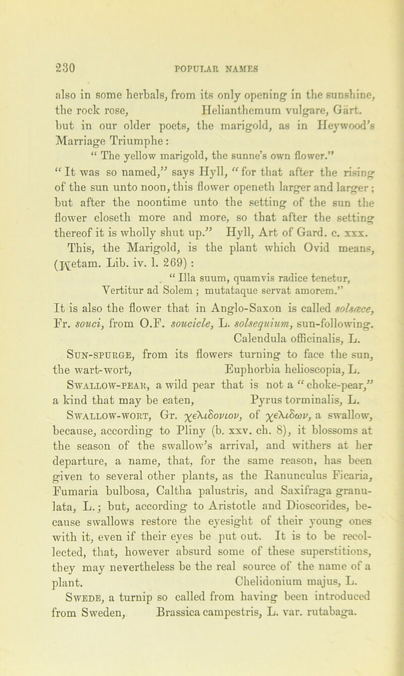 also in some herbals, from its only opening in the sunshine, the rock rose, Helianthemum vulgare, Gart. hut in our older poets, the marigold, as in Hey wood’s Marriage Triumphe: “ The yellow marigold, the sunne’s own flower.” “It was so named,” says Hyll, “for that after the rising of the sun unto noon, this flower openeth larger and larger; hut after the noontime unto the setting of the sun the flower closeth more and more, so that after the setting thereof it is wholly shut up/’ Hyll, Art of Gard. e. xxx. This, the Marigold, is the plant which Ovid means, (j^etam. Lib. iv. 1. 269) : “ Ilia suum, quamvis radice tenetur, Yertitur ad Solem ; mutafcaque servat amorem.” It is also the flower that in Anglo-Saxon is called solsace, Fr. souci, from O.F. soucicle, L. solsequium, sun-following. Calendula offlcinalis, L. Sun-spurge, from its flowers turning to face the sun, the wart-wort, Euphorbia helioseopia, L. Swallow-pear, a wild pear that is not a “ choke-pear,” a kind that may be eaten, Pyrus torminalis, L. Swallow-wort, Gr. %e\i8oviov, of yeXtSaw, a swallow, because, according to Pliny (b. xxv. eh. 8), it blossoms at the season of the swallow’s arrival, and withers at her departure, a name, that, for the same reason, has been given to several other plants, as the Ranunculus Ficaria, Fumaria bulbosa, Caltha palustris, and Saxifraga granu- lata, L.j but, according to Aristotle and Dioscorides, be- cause swallows restore the eyesight of their young ones with it, even if their eyes be put out. It is to be recol- lected, that, however absurd some of these superstitions, they may nevertheless be the real source of the name of a plant. Chelidonium majus, L. Swede, a turnip so called from having been introduced from Sweden, Brassica campestris, L. var. rutabaga.