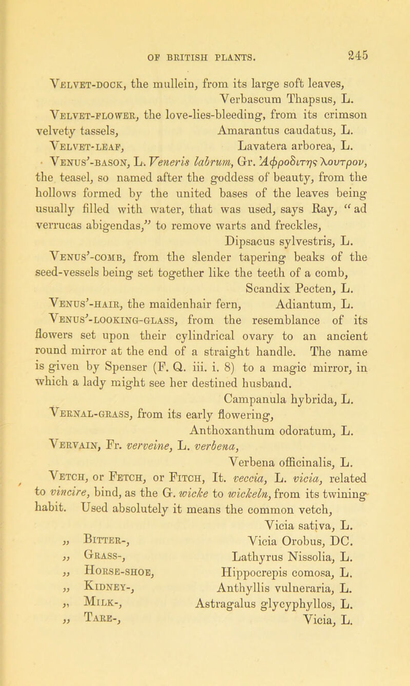 Velvet-dock, the mullein, from its large soft leaves, Verbascum Thapsus, L. Velvet-flower, the love-lies-bleeding, from its crimson velvety tassels, Amarantus caudatus, L. Velvet-leaf, Lavatera arborea, L. Venus'-bason, L. Veneris labrum, Gr. U^poSir?/? \ovrpov, the teasel, so named after the goddess of beauty, from the hollows formed by the united bases of the leaves being usually filled with water, that was used, says Ray, “ ad verrucas abigendas,” to remove warts and freckles, Dipsacus sylvestris, L. Venus’-comb, from the slender tapering beaks of the seed-vessels being set together like the teeth of a comb, Scandix Pecten, L. Venus^-hair, the maidenhair fern, Adiantum, L. Venus'7-looking-glass, from the resemblance of its flowers set upon their cylindrical ovary to an ancient round mirror at the end of a straight handle. The name is given by Spenser (P. Q. iii. i. 8) to a magic mirror, in which a lady might see her destined husband. Campanula hybrida, L. Vernal-grass, from its early flowering, Anthoxanthum odoratum, L. Vervain, Fr. verveine, L. verbena, Verbena officinalis, L. Vetch, or Fetch, or Fitch, It. veccia, L. vicia, related to vincire, bind, as the G. wicfce to wicJceln, from its twining habit. Used absolutely it means the common vetch, Vicia sativa, L. )) Bitter-, Vicia Orobus, DC. )) Grass-, Lathyrus Nissolia, L. Horse-shoe, Ilippocrepis comosa, L. Kidney-, Anthyllis vulneraria, L. » Milk-, Astragalus glycyphyllos, L. )) Tare-, Vicia, L.